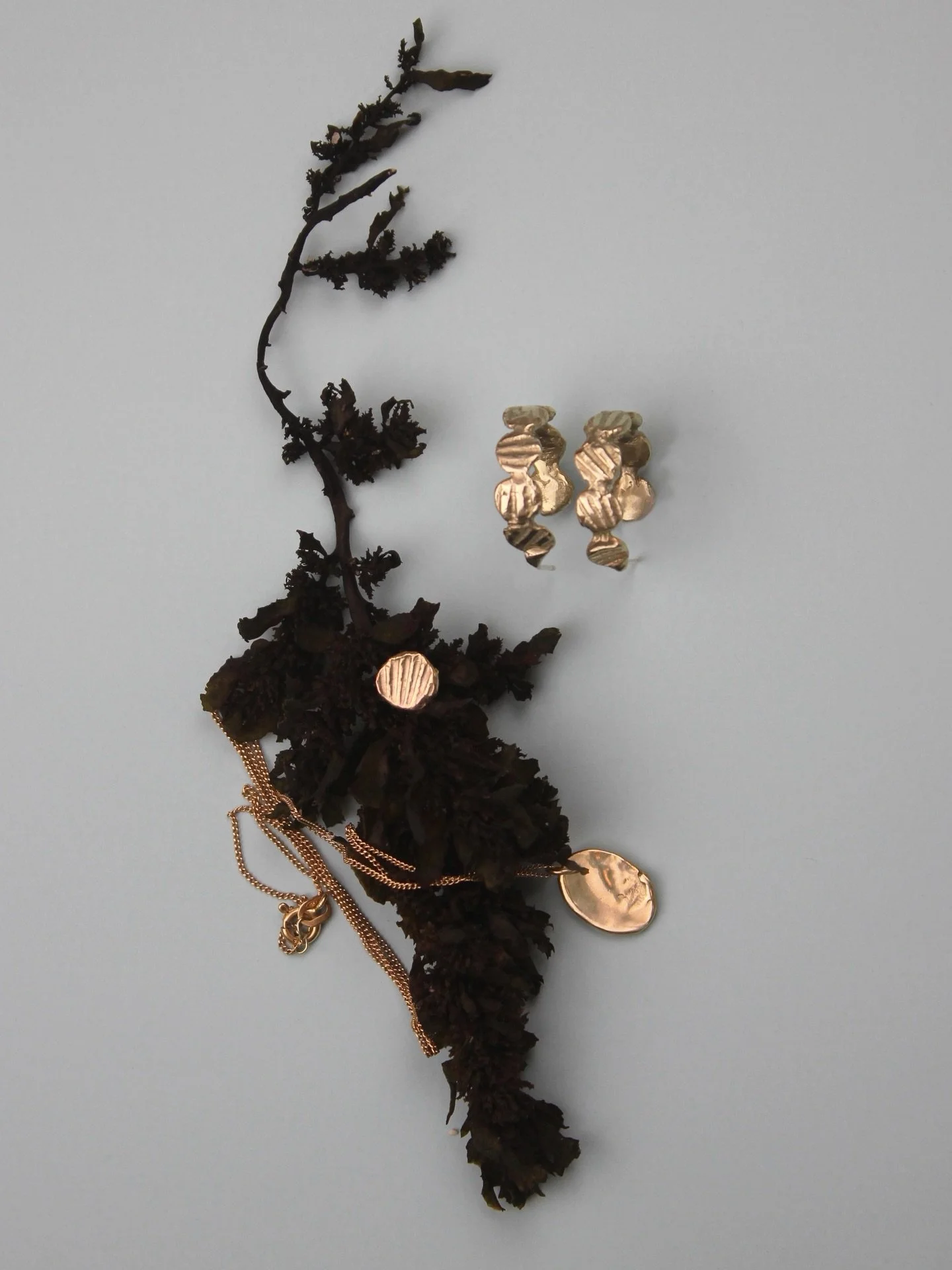 Presenting my newest mini collection, Oceana.

Created from the imprints of seashells found along the Australian coast.
Capturing the beauty of the natural world using the ancient technique of lost wax casting.

Influenced by nature.  Shaped by the s