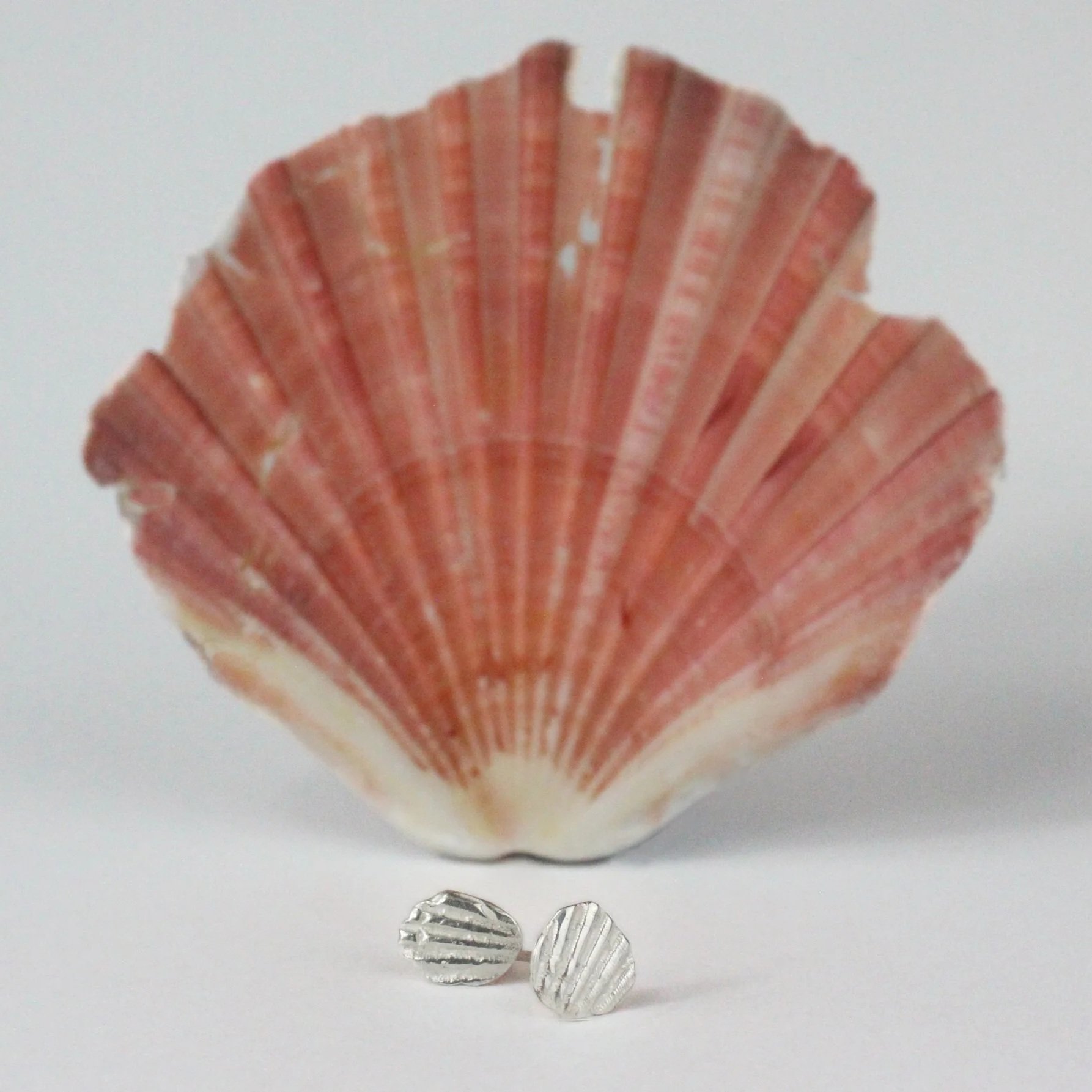shellstuds+.jpg