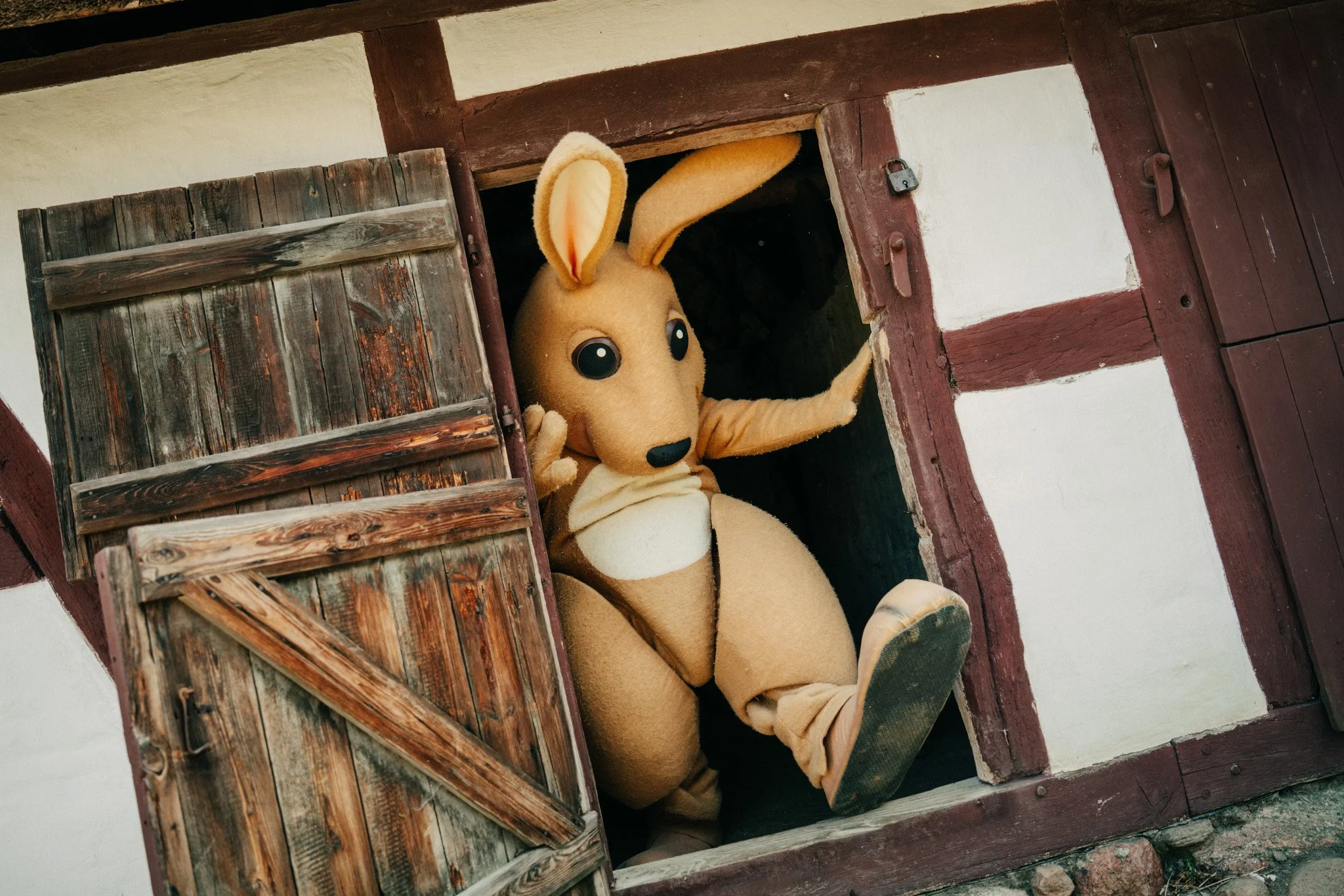 Påskehare / Frilandsmuseet / 2024