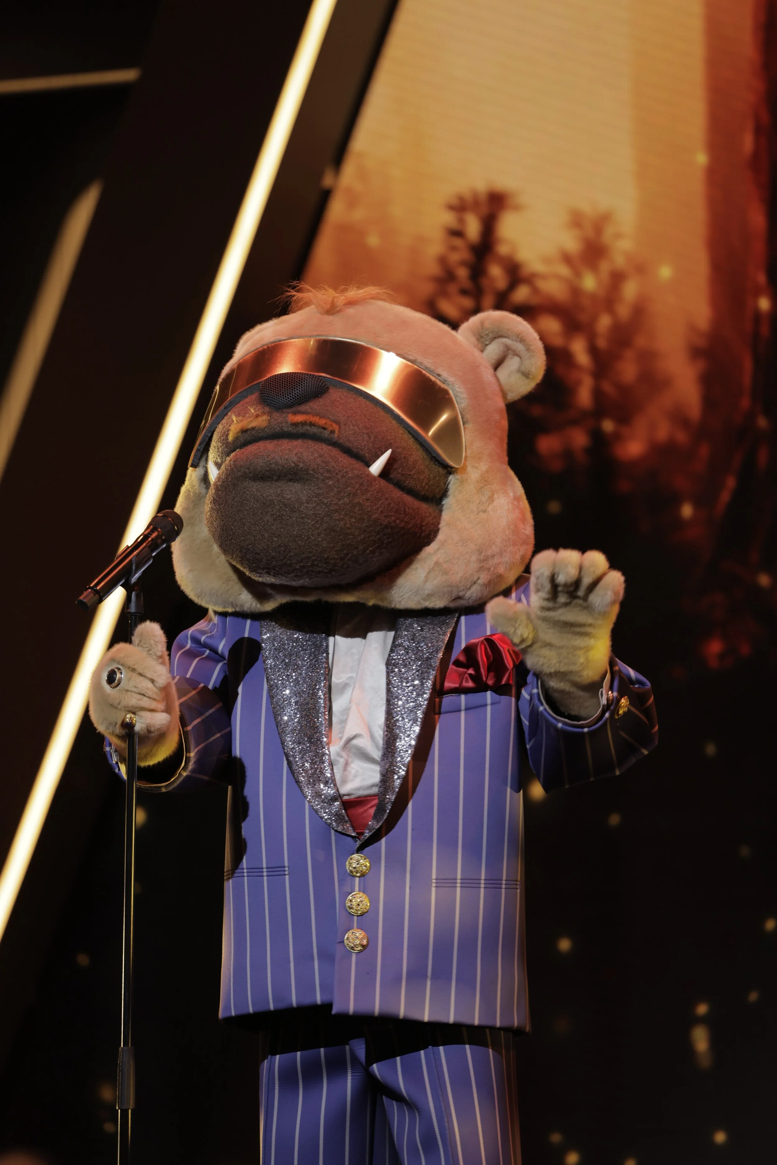 Bulldog 2 Nicolas Tobias Følsgaard.JPG