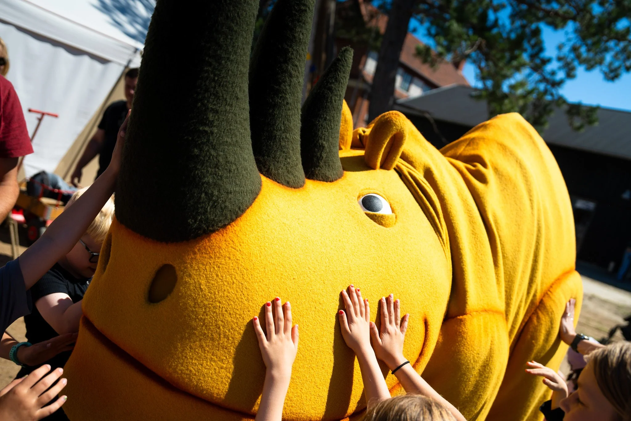 BarskProjects_Frilandsmuseet_Frøsnapperfestival_20230709-01441.jpg