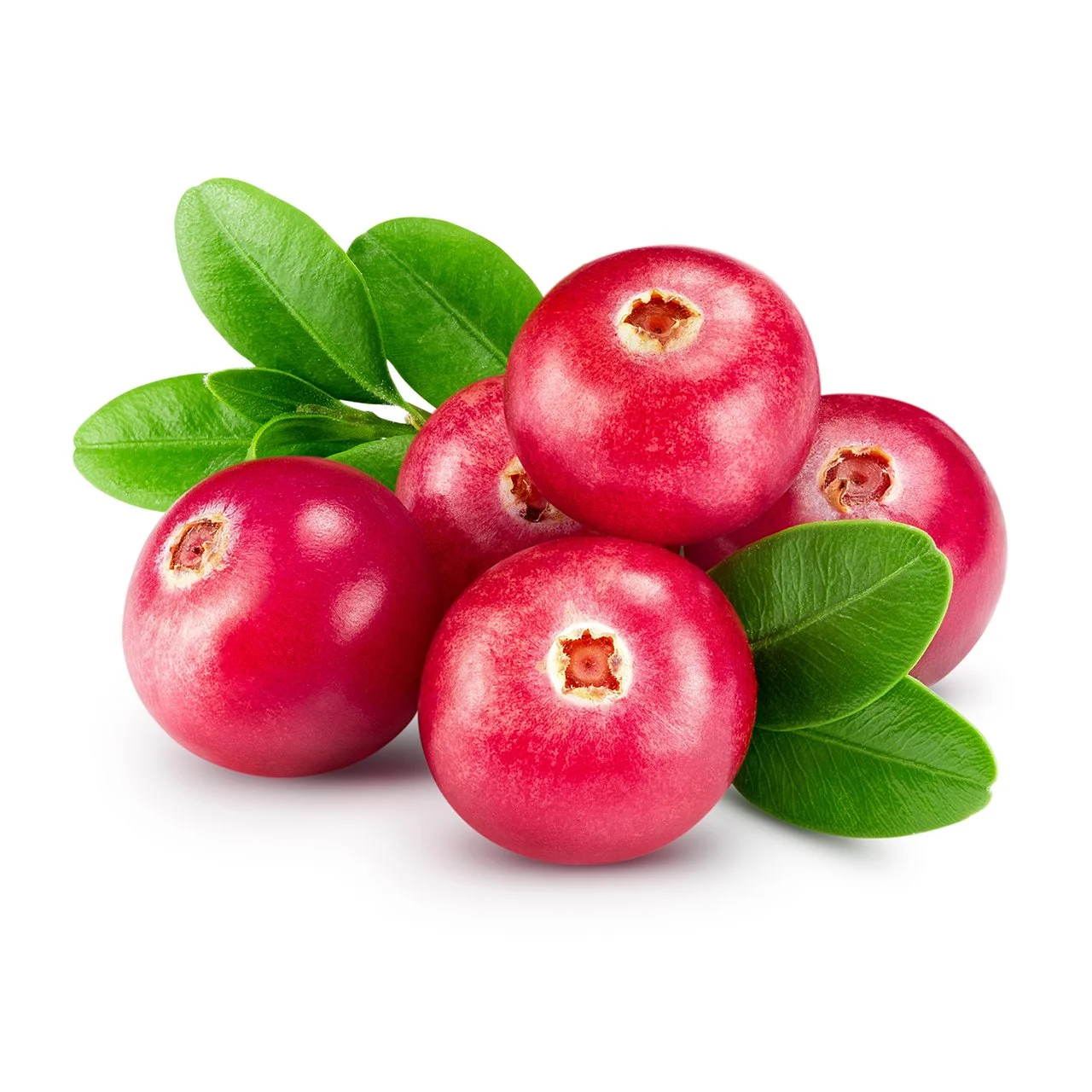 Cranberry Liquid Extract
Protects against free radicals that cause damage to your skin and gently exfoliates dead skin cells. With antioxidants, Vitamin A and C that promote collagen production reducing fine lines and wrinkles protecting your skin ag