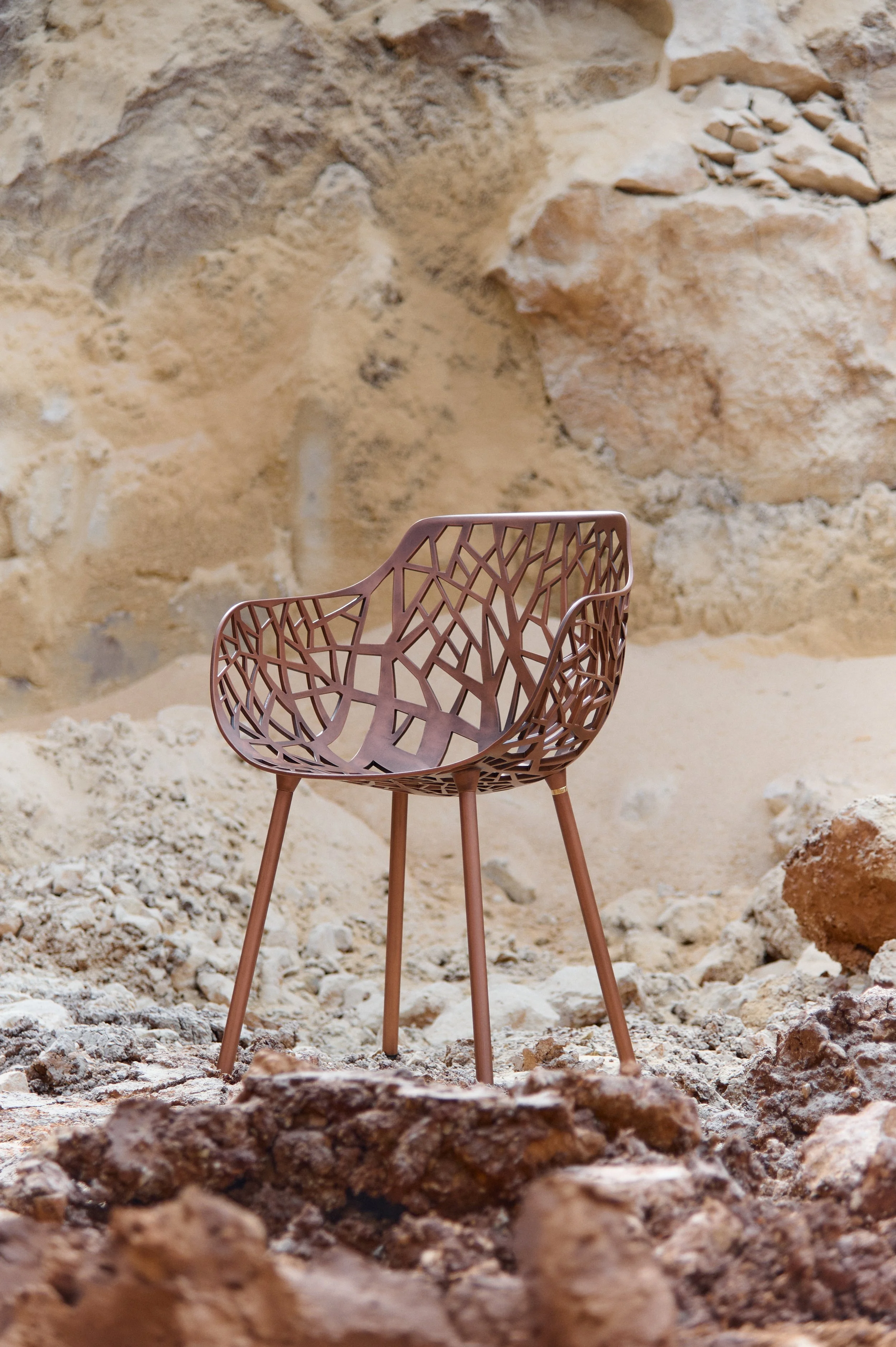 FOREST LIMITED EDITION 1.jpeg