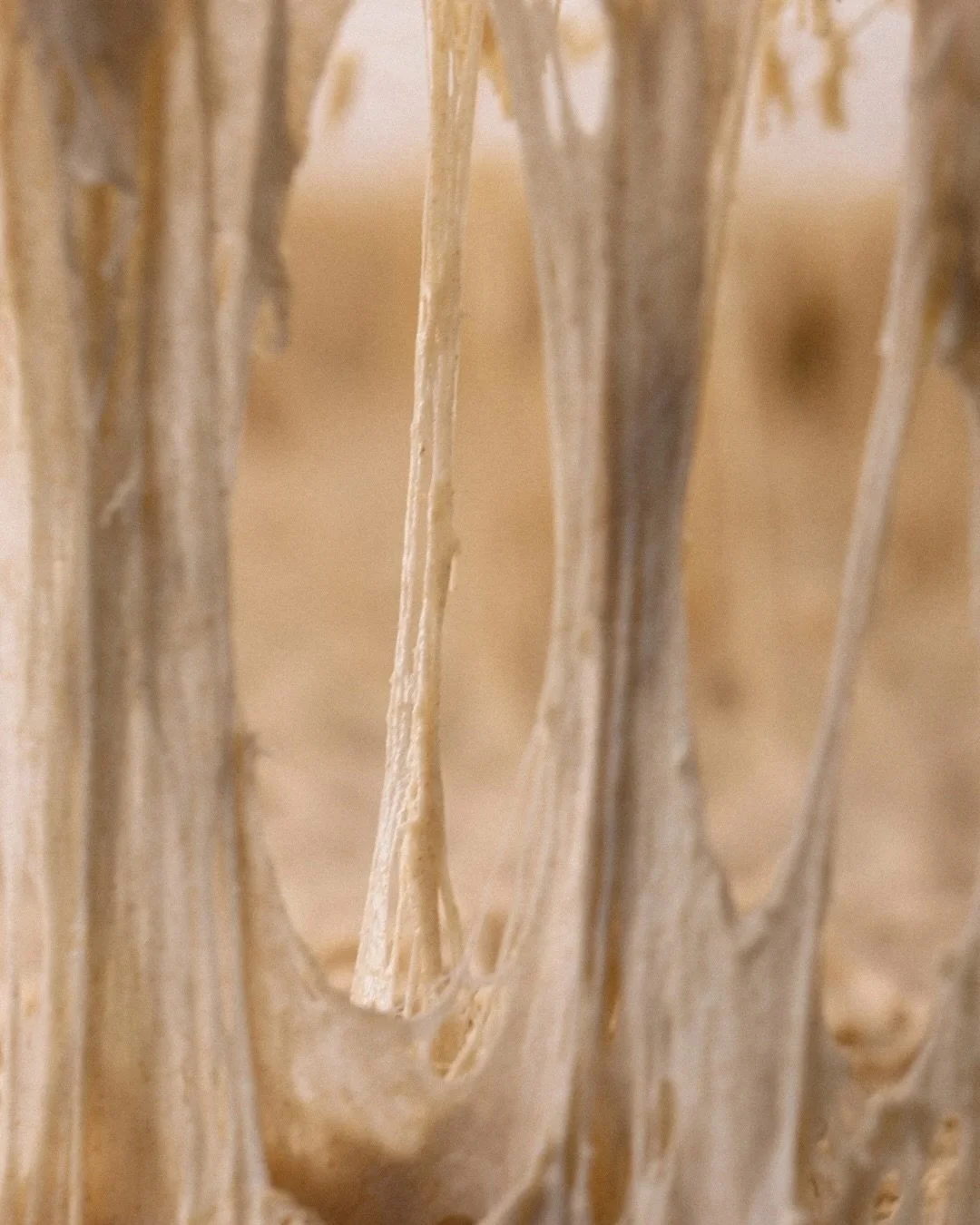 Sourdough at Mammertsberg - it's a love story.

Photos: @digitalemassarbeit