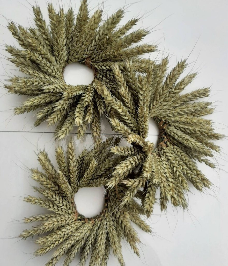 Dried Wheat Wreath - Mini