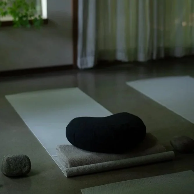 1-on-1 Yoga Therapy