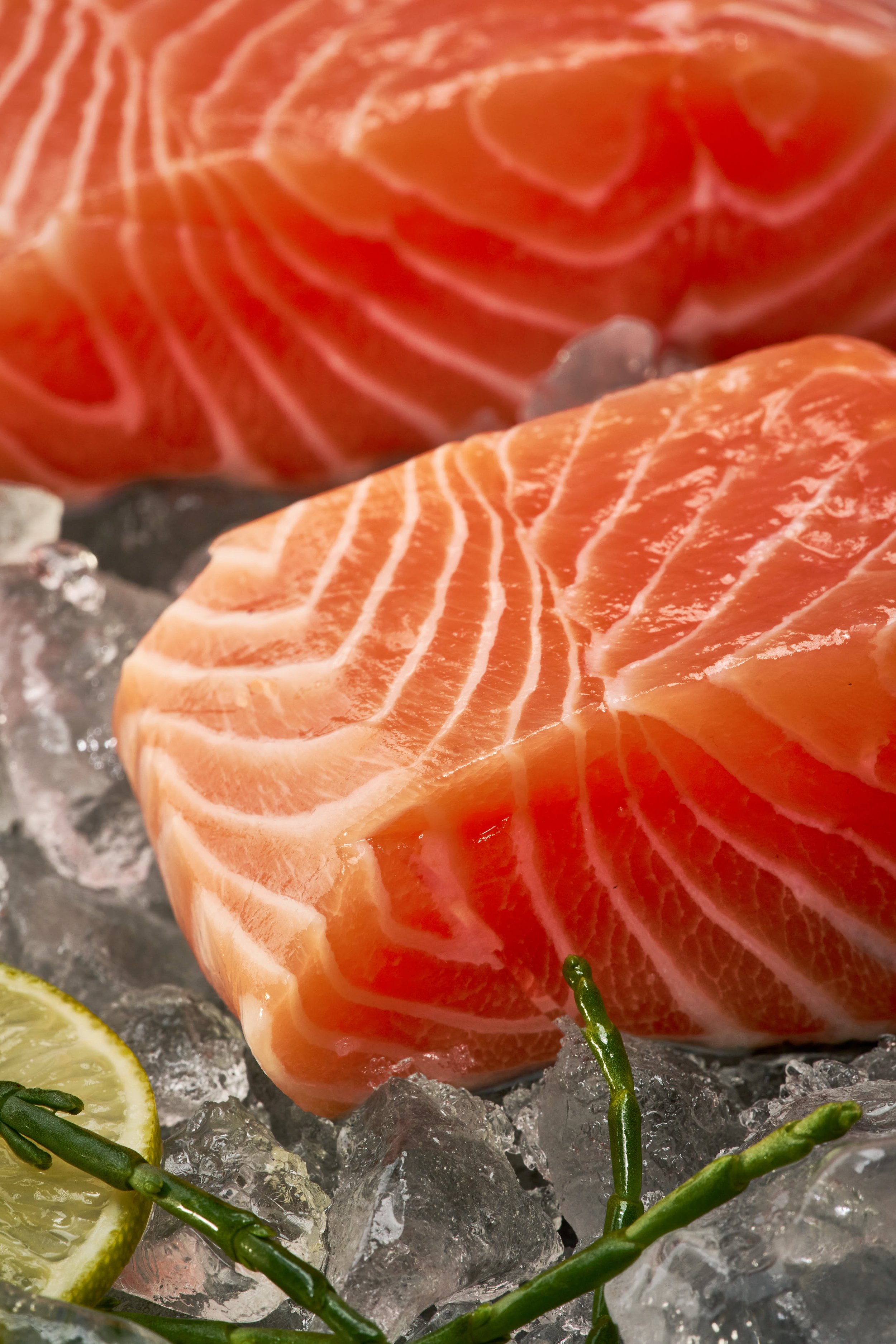 zoomed in salmon