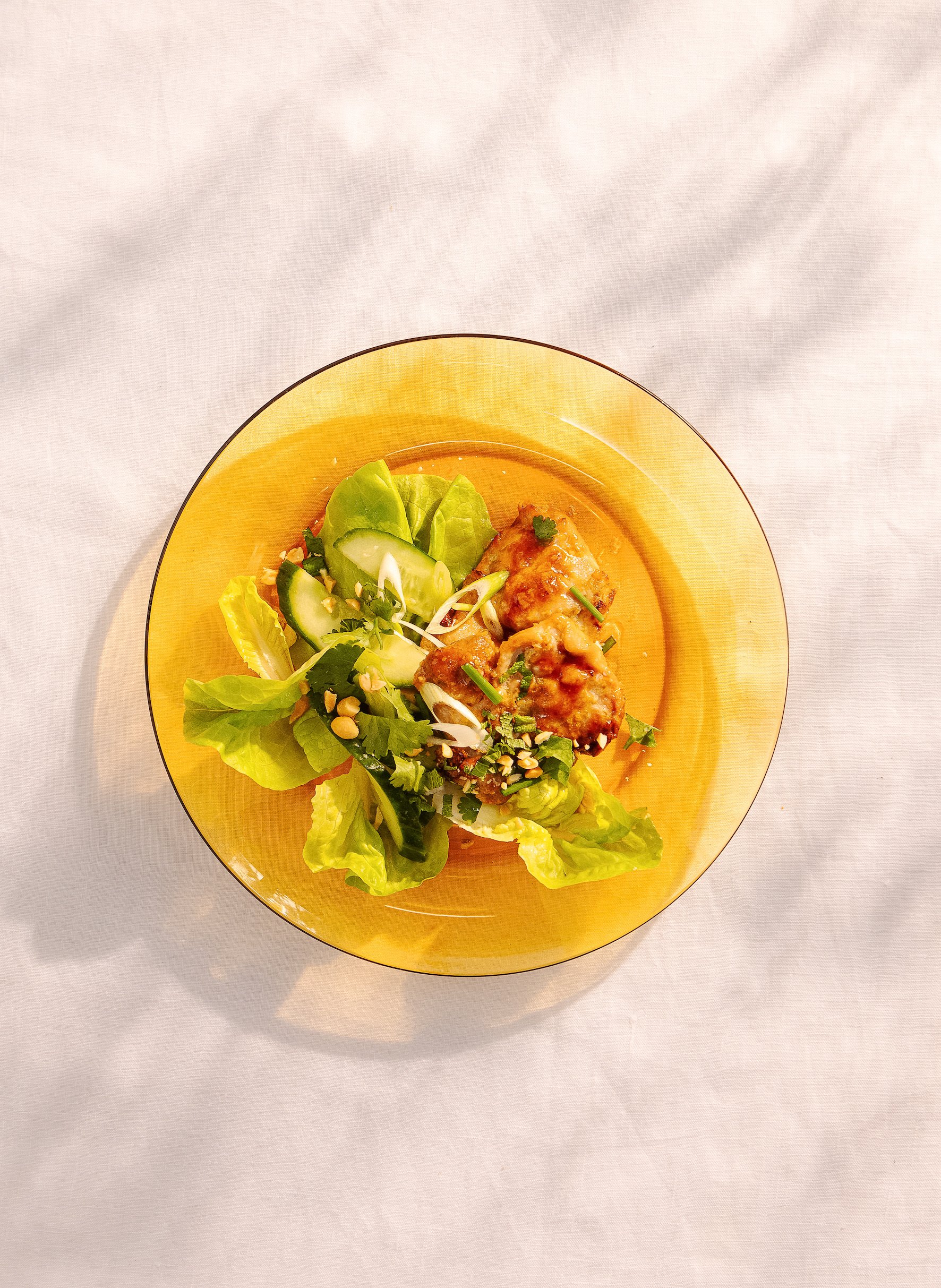 chicken satay