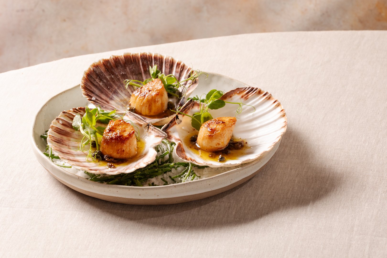 scallops in the shell with caper sauce