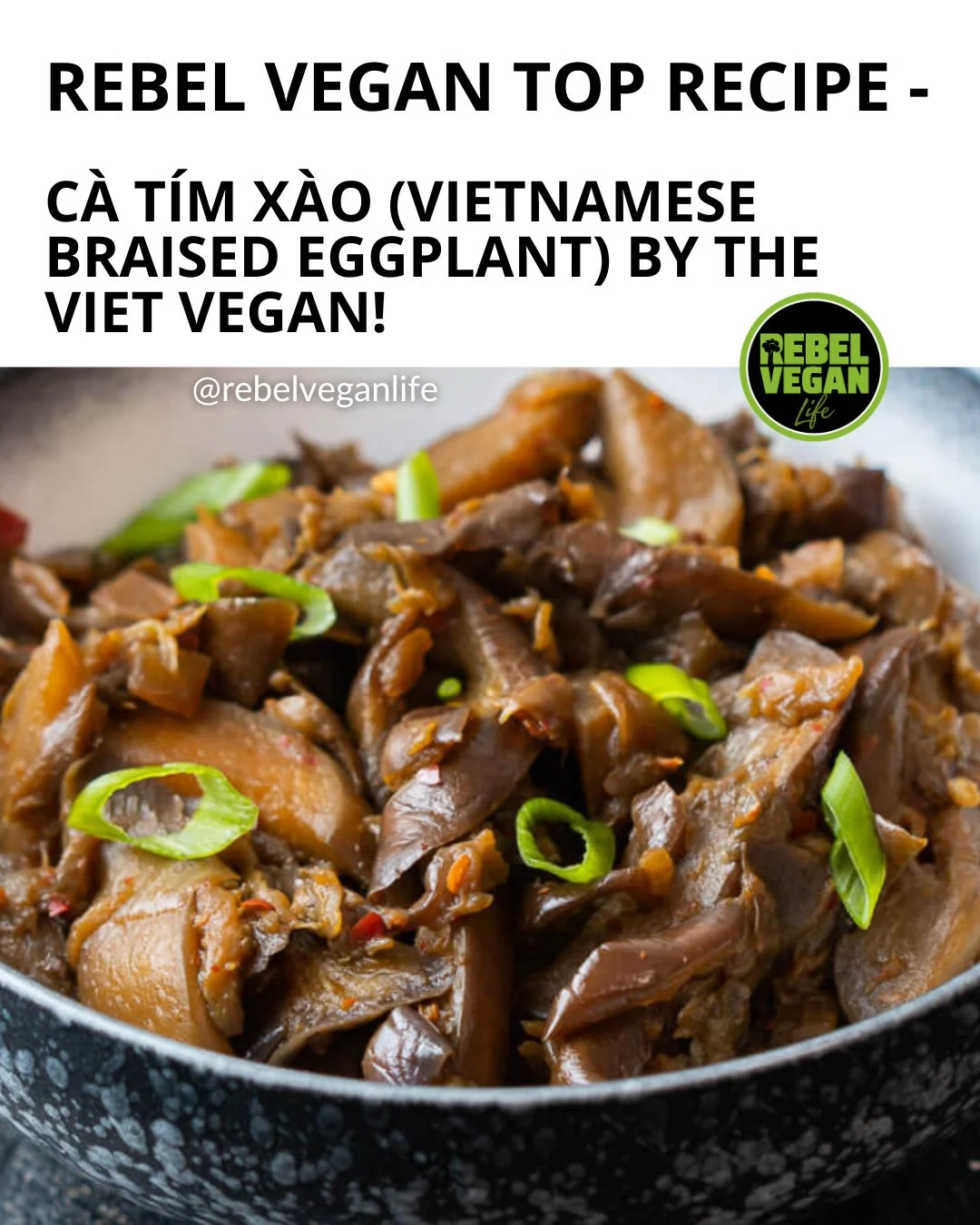 Hi, Rebel Vegans! 🇻🇳 It's time for another Vietnam Vegan Recipe of the Week!⁠
⁠
This week I'm sharing this delicious Vietnamese Braised Eggplant (C&agrave; T&iacute;m X&agrave;o) from The Viet Vegan!⁠
⁠
Savoury, tender and comforting, this traditio