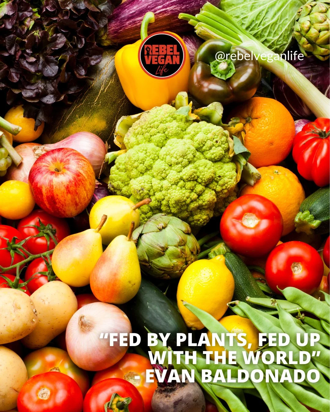Hi, Rebel Vegans! ⁠I hope you're having a fantastic day!⁠
⁠
I have certainly had moments I've felt like this.⁠
⁠
"Fed by plants, fed up with the world." - Evan Baldonado⁠
⁠
What do you think of this one? ⁠
⁠
#VeganQuote #VeganForTheAnimals 