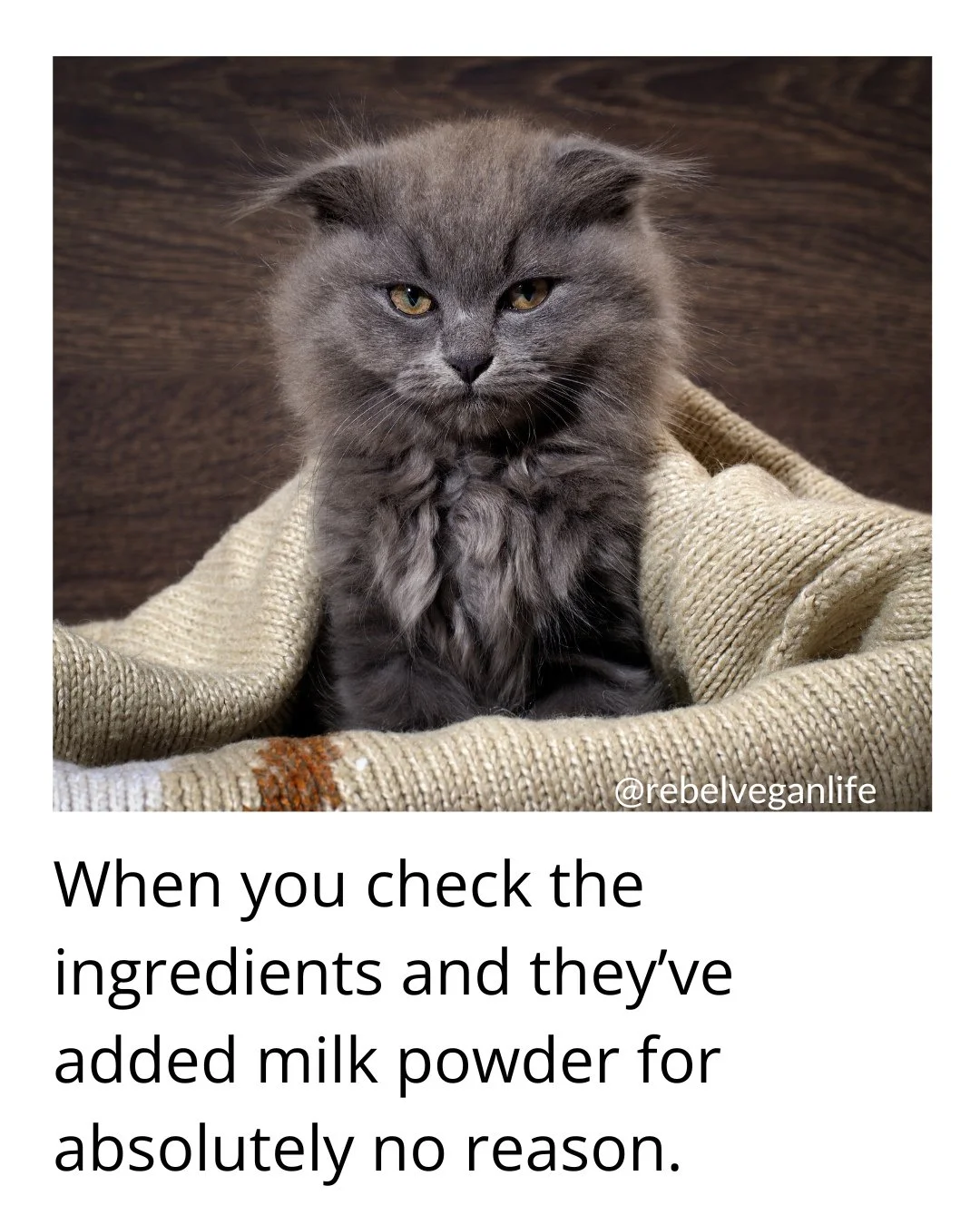 Hi, Rebel Vegans! I hope you're taking good care of yourself this week!⁠
⁠
What do you think of this? ⁠
⁠
When you check the ingredients and they've added milk powder ⁠⁠for absolutely no reason.⁠
⁠
Please share if you relate to the message!⁠
⁠
#Vegan