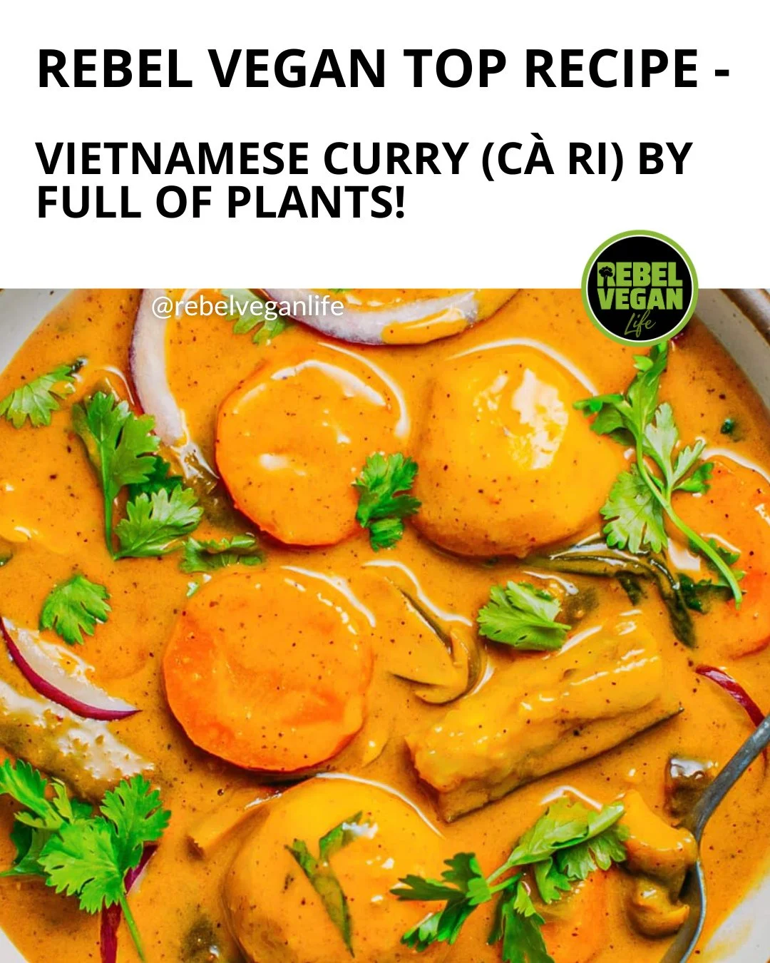 Hey, Rebel Vegans! 🇻🇳 Who's ready for another Vietnam Vegan Recipe of the Week?⁠
⁠
This week I'm sharing this delicious Easy Vegan Vietnamese Curry (C&agrave; Ri) from Full of Plants!⁠
⁠
Rich, creamy and packed with flavour, this comforting Vietnam