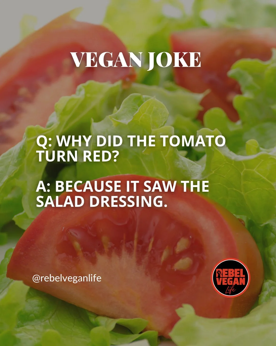 Hi, Rebel Vegans! It wouldn&rsquo;t be a proper week without a little vegan humour!⁠
⁠
Q: Why did the tomato turn red?⁠
A: Because it saw the salad dressing.⁠
⁠
What do you think of this one?⁠
⁠
#VeganJoke #VeganHumour #VeganCommunity #VeganLife #Reb