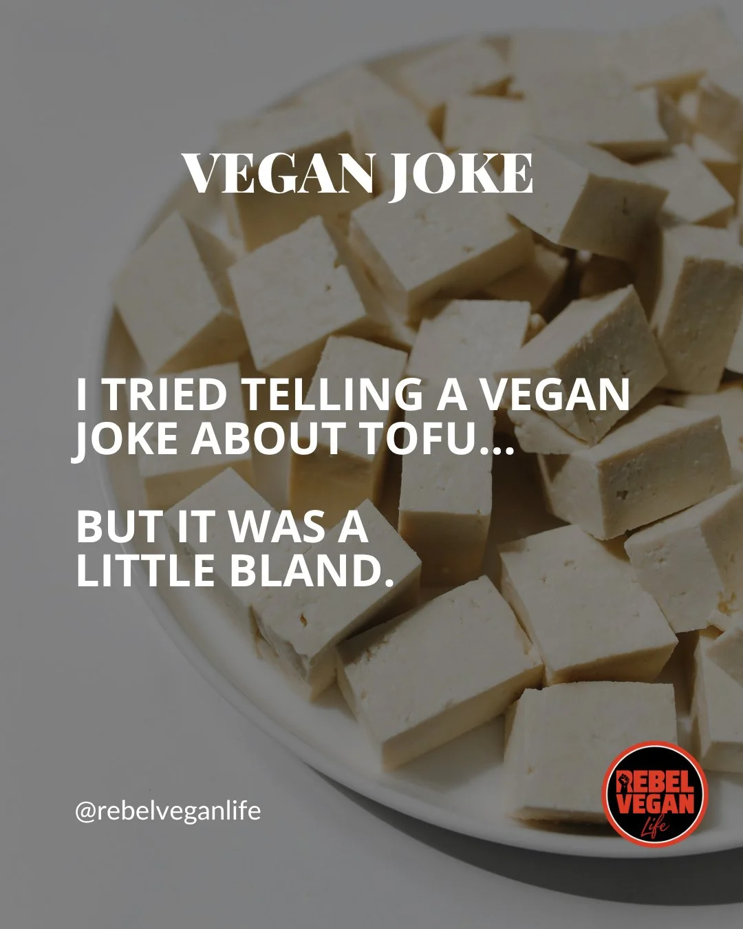 Hey, Rebel Vegans! I hope you're ready for a little vegan joke!⁠
⁠
I tried telling a vegan joke about tofu⁠
But it was a little bland.⁠
⁠
What do you think of this one?⁠
⁠
#VeganJoke #VeganHumour #VeganCommunity #VeganLife #RebelVeganLife⁠