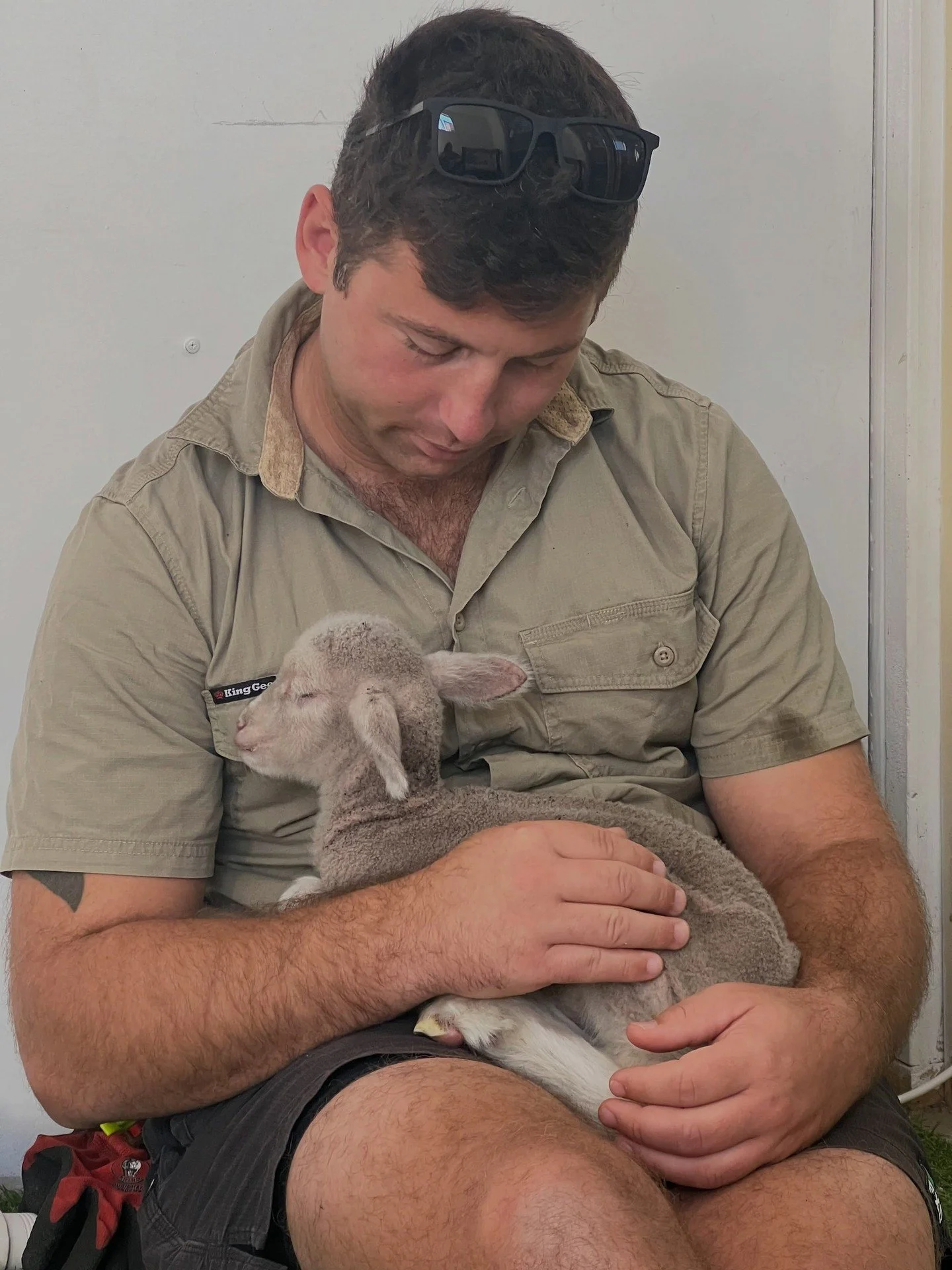 Hello, Rebel Vegans! Sending you a little inspiration today!⁠
⁠
📷@freedomhillsanctuary⁠
⁠
Here's Josh sharing a quiet moment with this gorgeous lamb! ⁠
⁠
⁠Thank you for being there for animals who need a safe place to call home!⁠
⁠
#VeganLifestyle #