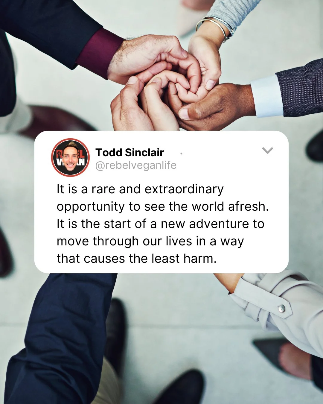 Hey, Rebel Vegans! I hope you're having a good one wherever you are!⁠
⁠
This little snippet comes from Rebel Vegan Life: A Plant-Based Nutrition and Beginner&rsquo;s Guide.⁠
⁠
"It is a rare and extraordinary opportunity to see the world afresh. 