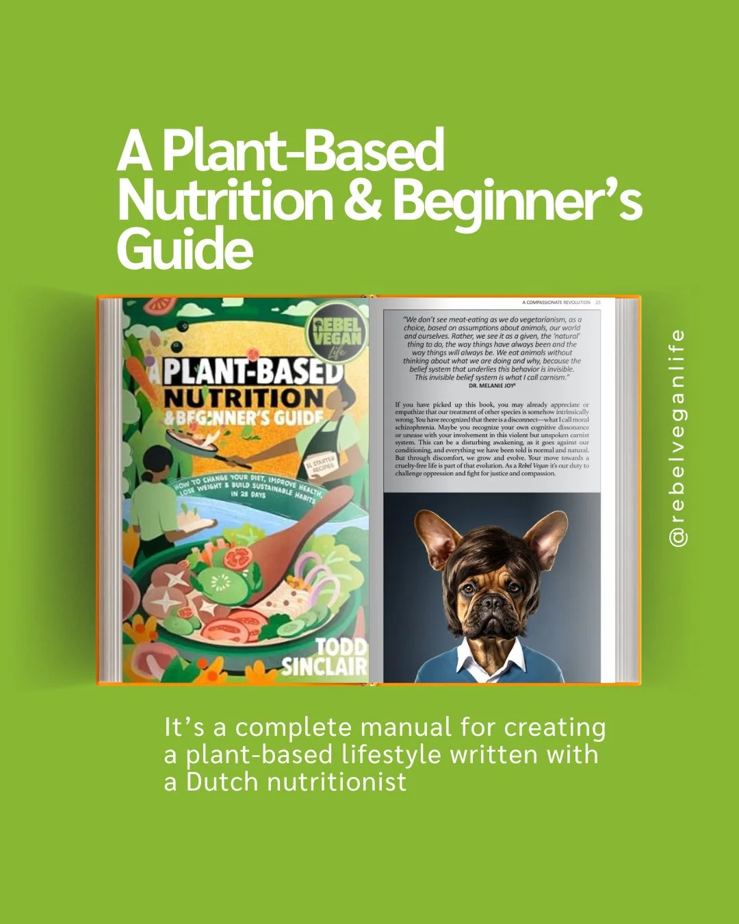 Hello, Rebel Vegans! I hope your day is off to a great start!⁠
⁠
The next book in my trilogy, Plant-Based Nutrition &amp; Beginner's Guide, is all about turning intention into action. As the first book explored the reasons behind veganism, this one f