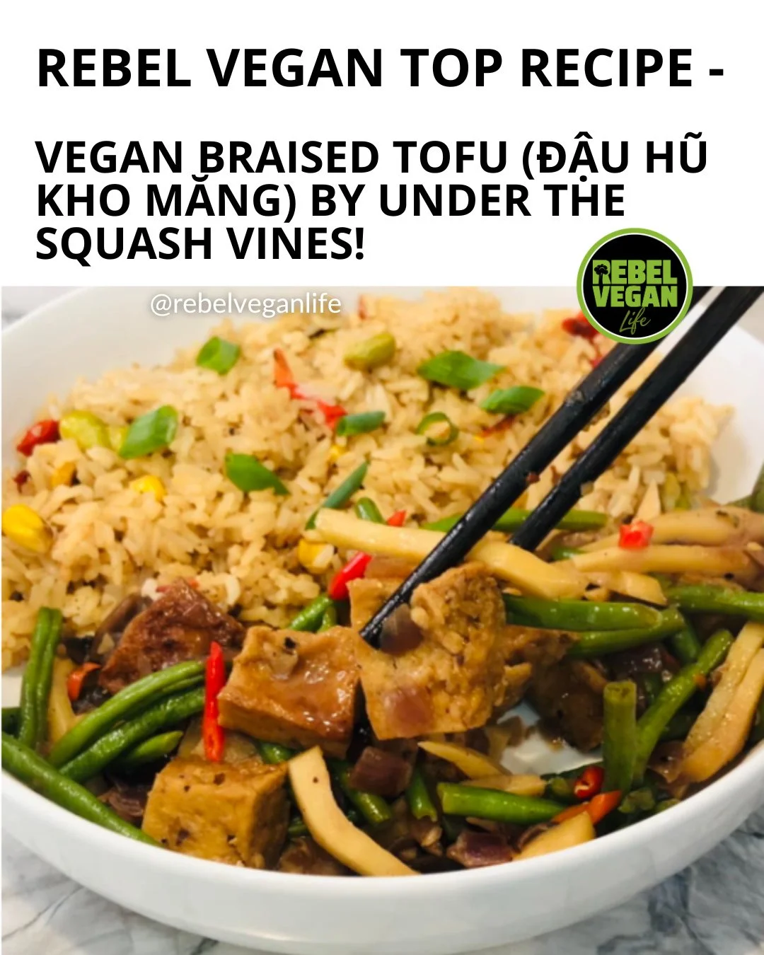 Hi, Rebel Vegans! 🇻🇳 Who's ready for another Vietnam Vegan Recipe of the Week?⁠
⁠
This week I'm sharing this delicious Vegan Braised Tofu, Bamboo Shoots and Green Beans (Đậu Hũ Kho Măng) from Under the Squash Vines!⁠
⁠
This comforting Vietnamese di