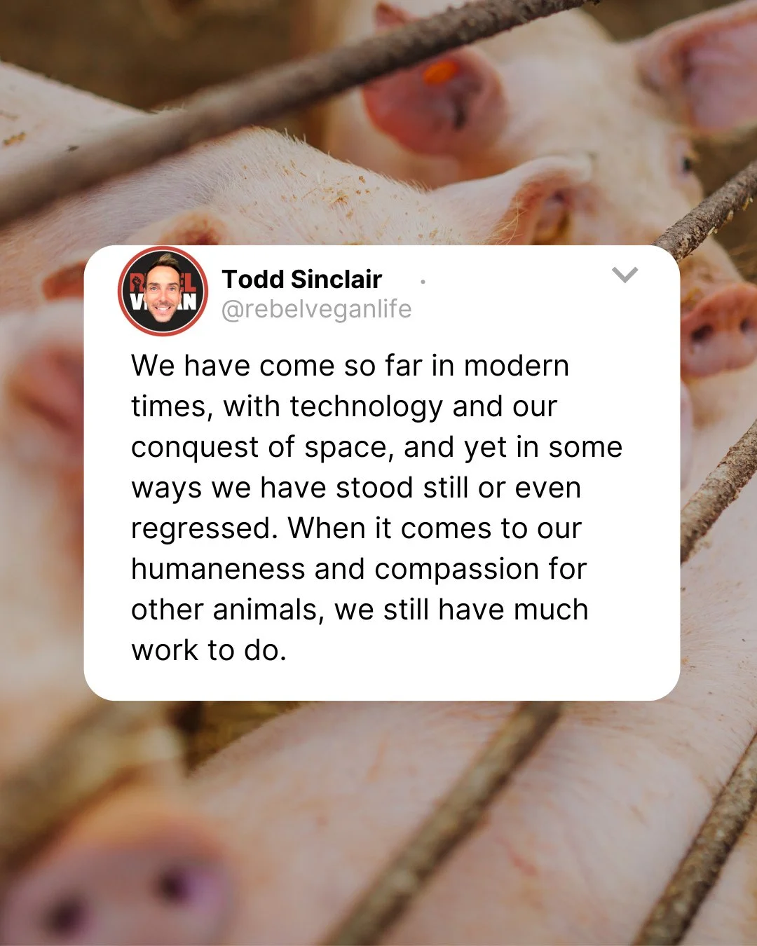 Hi, Rebel Vegans! I hope the weekend is treating you well!⁠
⁠
This little snippet comes from Rebel Vegan Life: A Radical New Take on Veganism.⁠
⁠
"We have come so far in modern times, with technology and our conquest of space, and yet in some wa