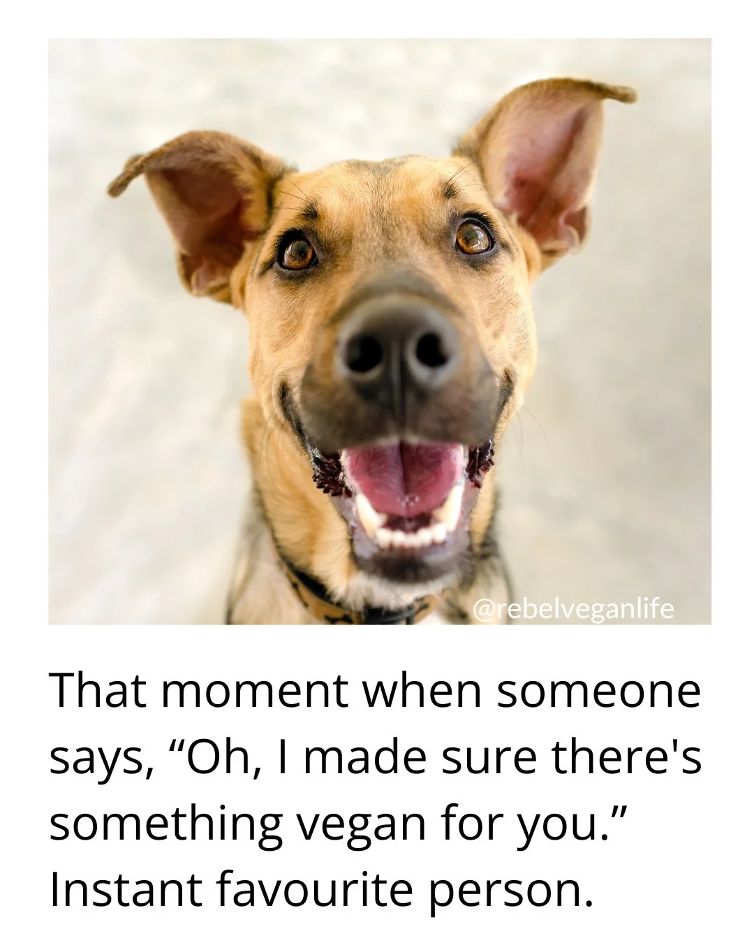 Hi, Rebel Vegans! Sending some positive vibes your way today!⁠
⁠
What do you think of this? ⁠
⁠
That moment when someone says, "Oh, I made sure there's something vegan for you."⁠
Instant favourite person.⁠
⁠
Please share if you relate to th