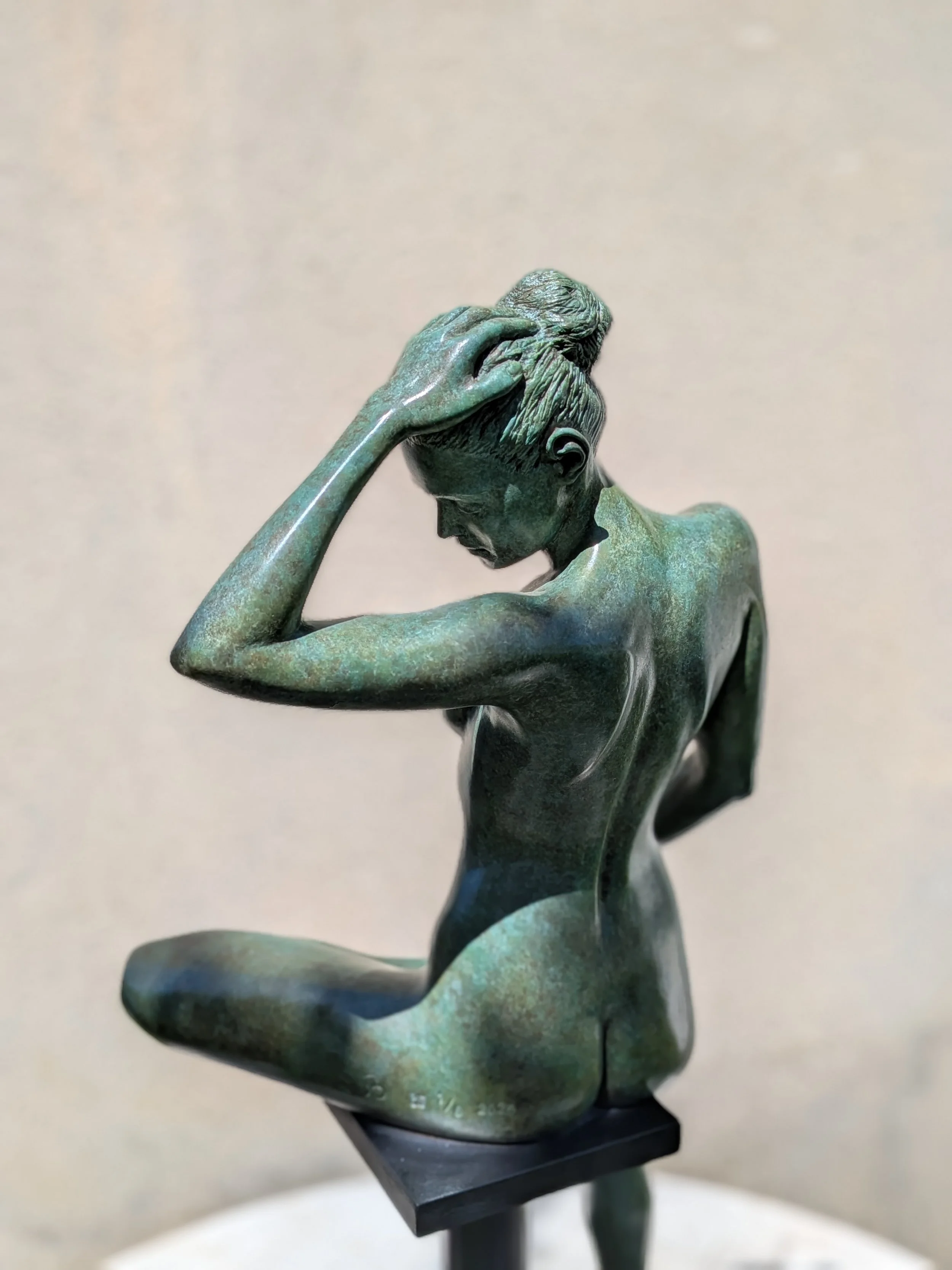 la voie du S dos détail.jpg