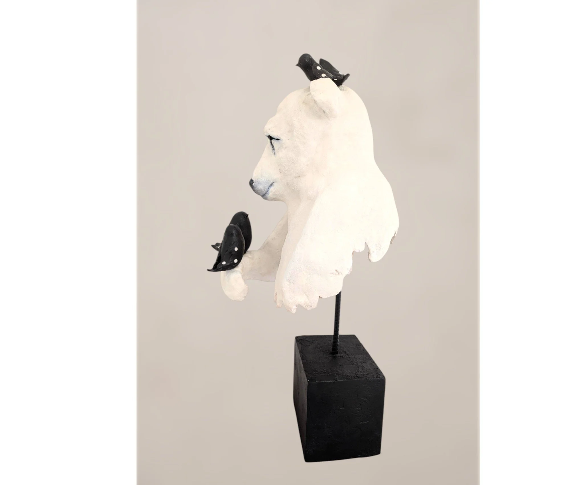 SUE LA BANQUISESQ (1).jpg