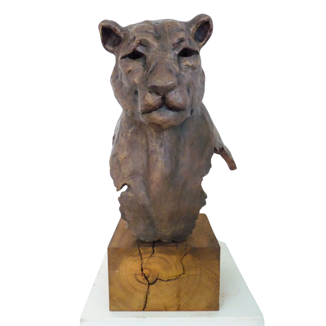Sculpture animalière d'une panthère, représentant sa noblesse et sa beauté, vue d'ensemble