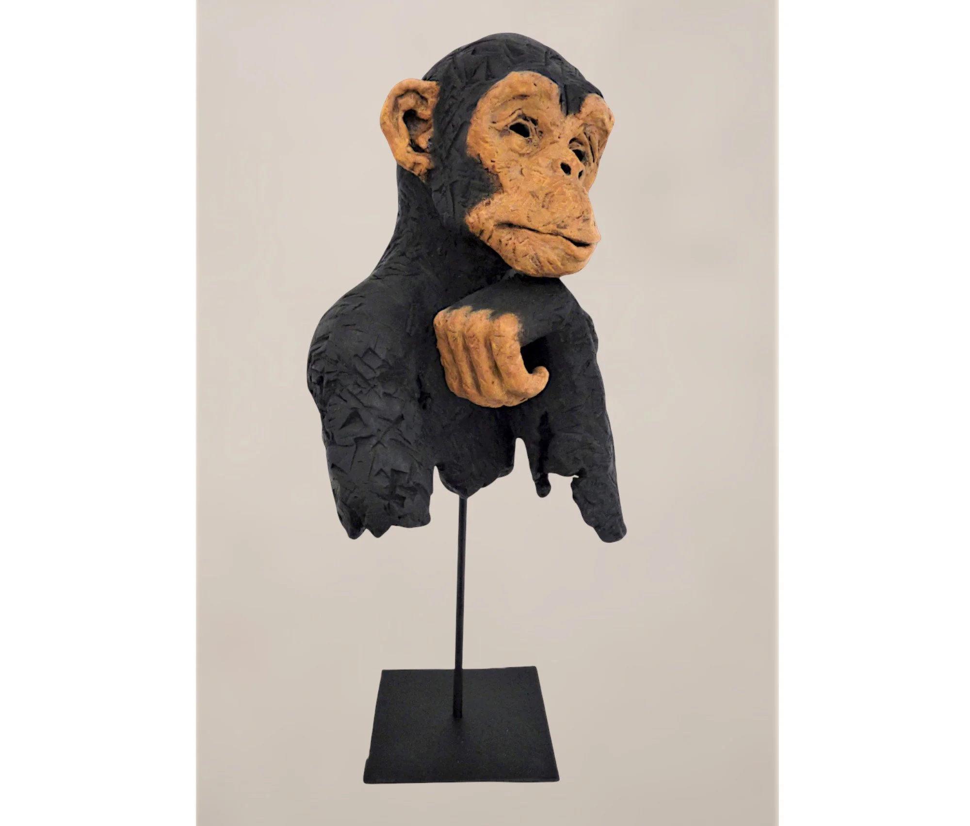 Sagesse animale – Buste de chimpanzé en terre cuite patinée