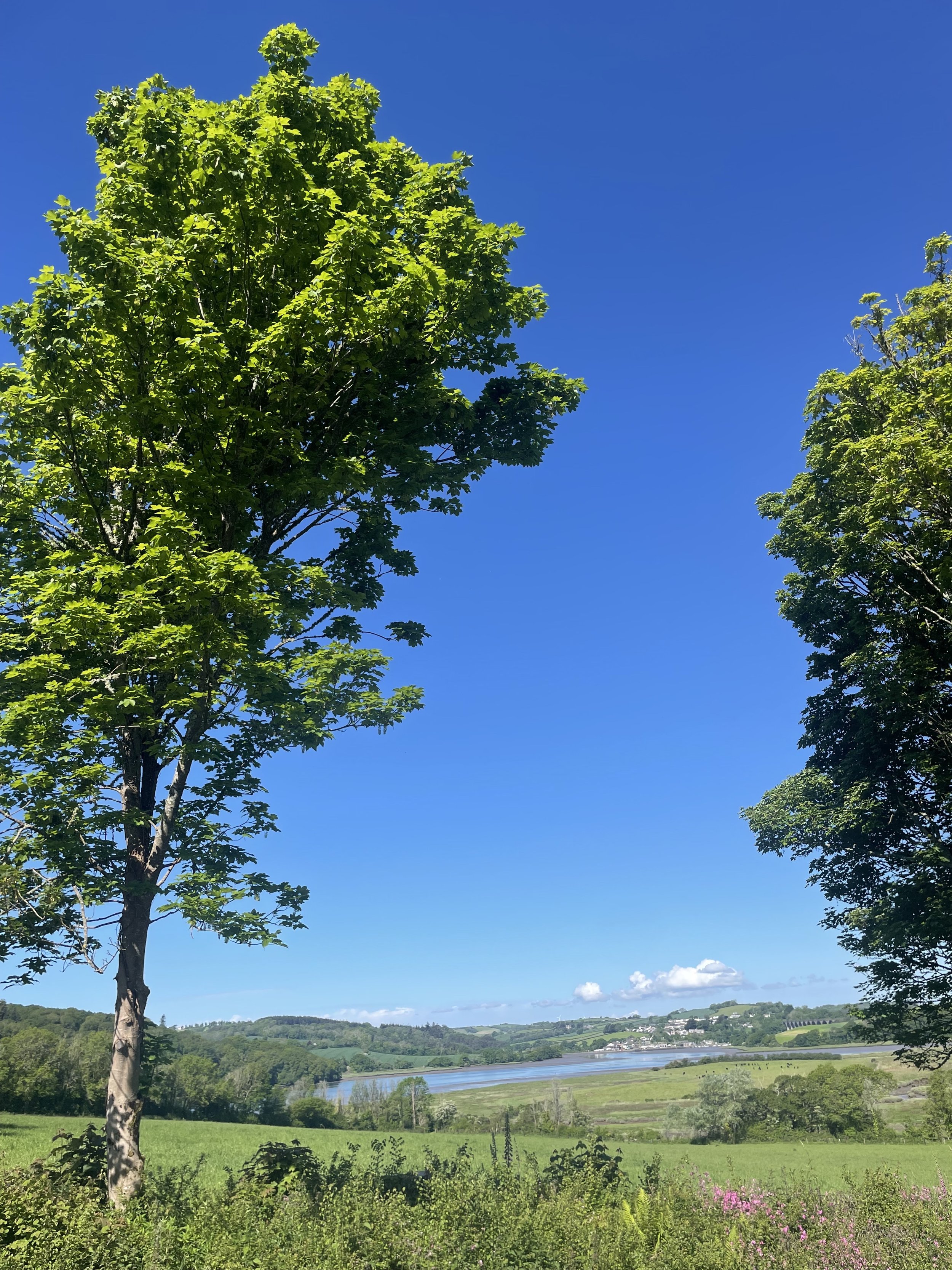 We RISE Retreat with Shanti Cinta £1300