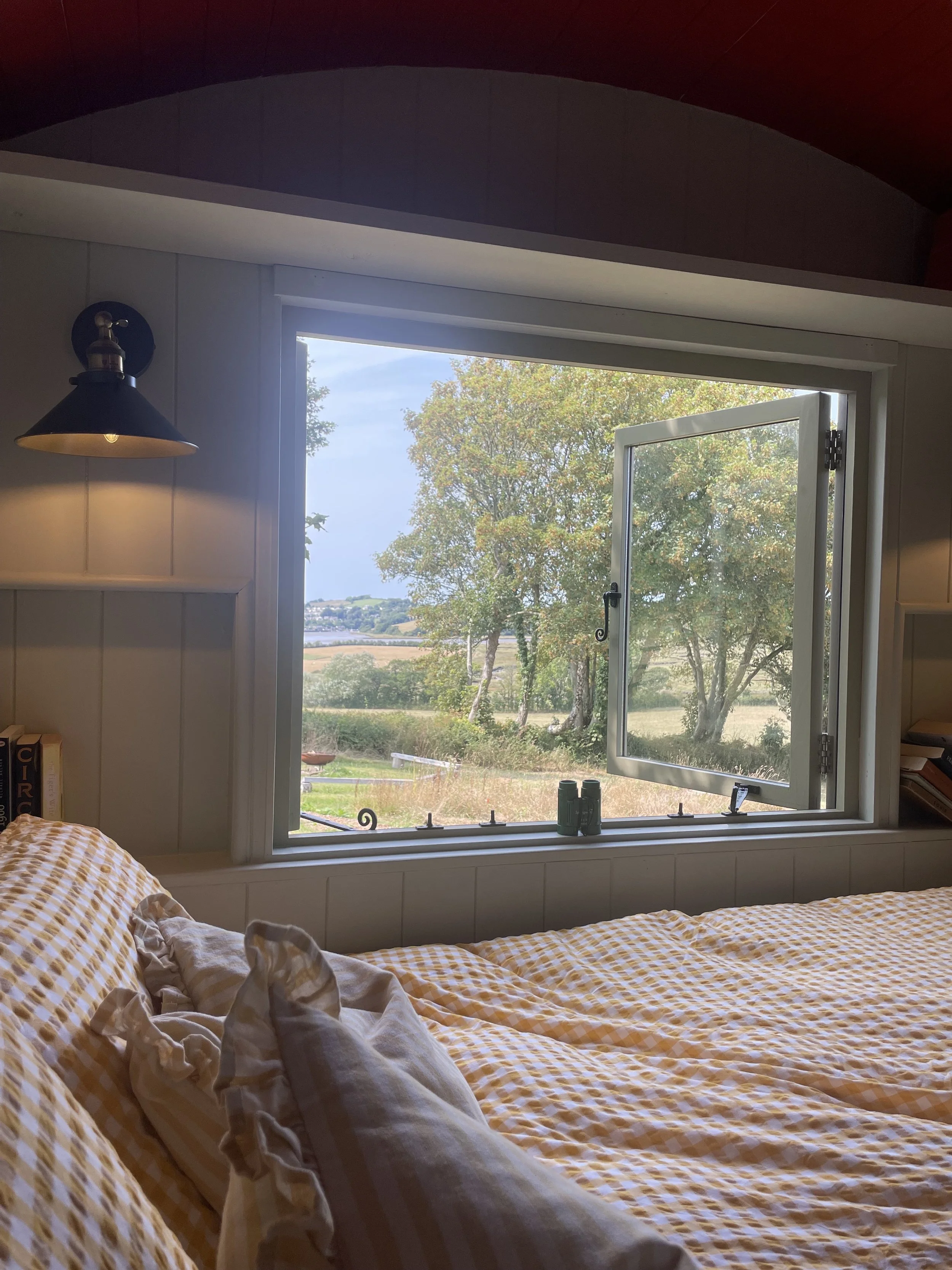 View onto the River Lynher