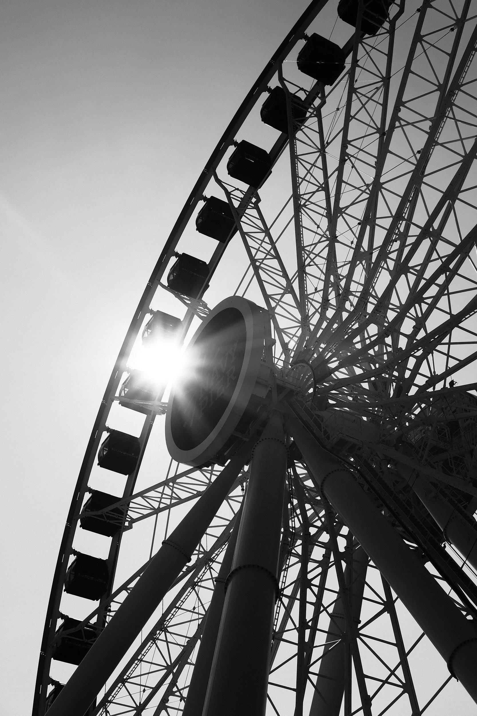DSCF5808.jpg
