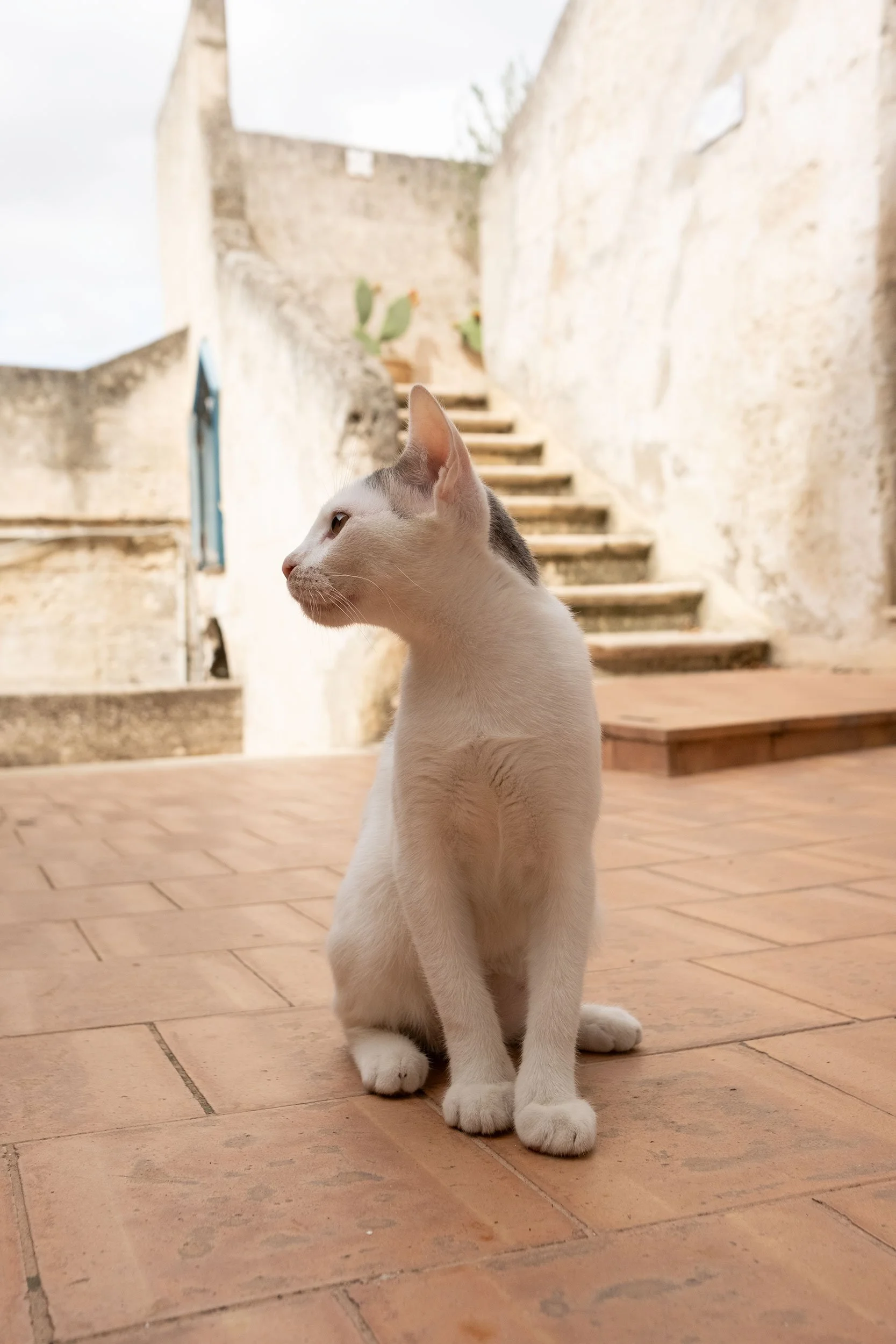 DSCF3740.jpg
