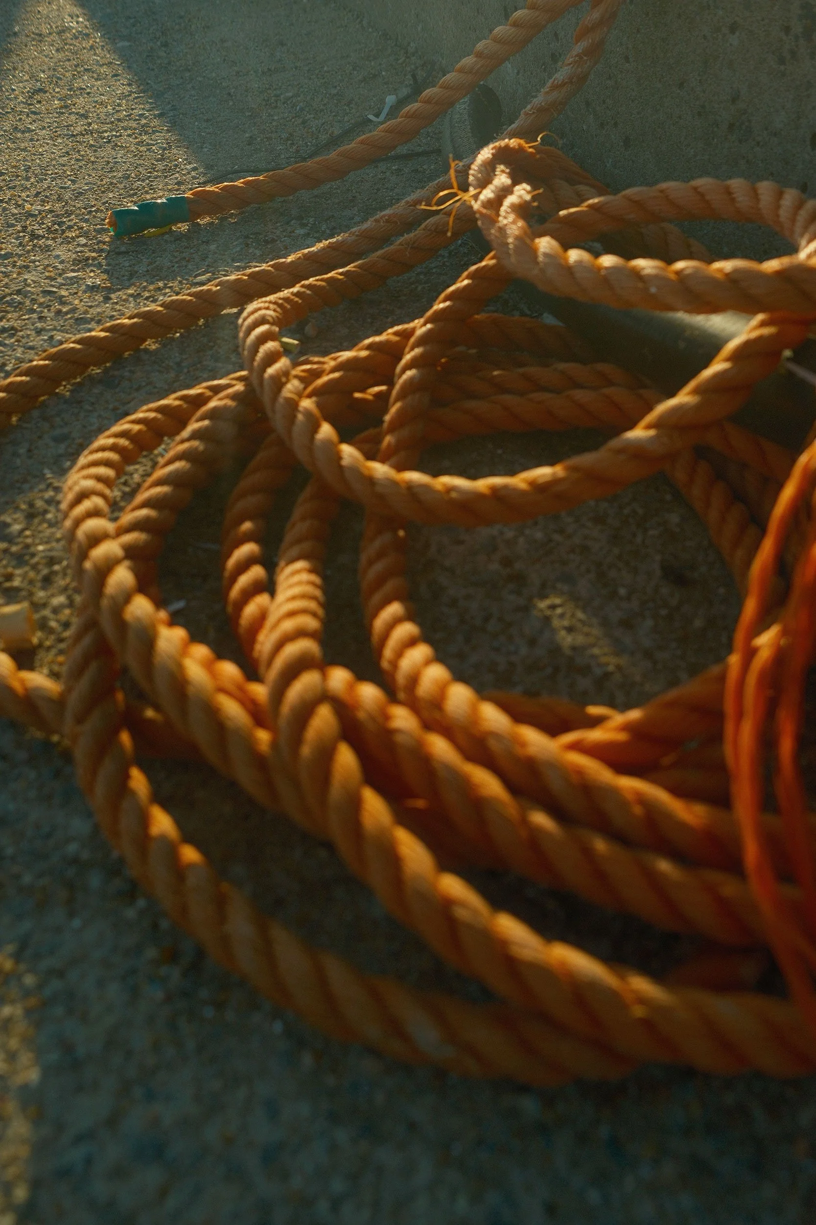 DSCF1563.jpg
