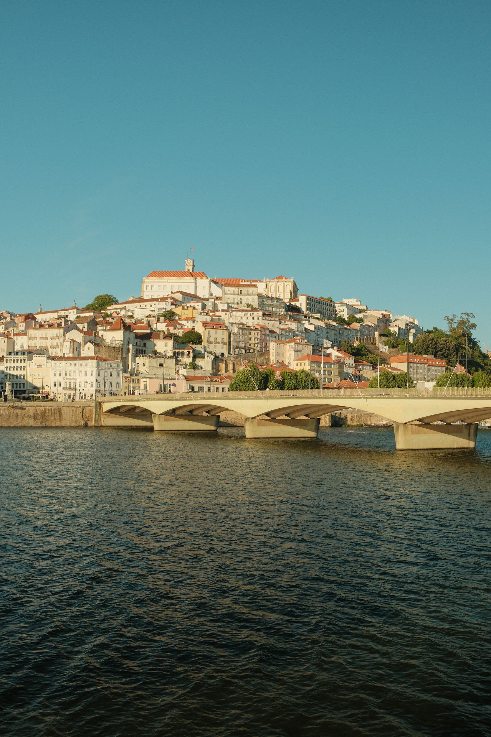 DSCF0397.jpg