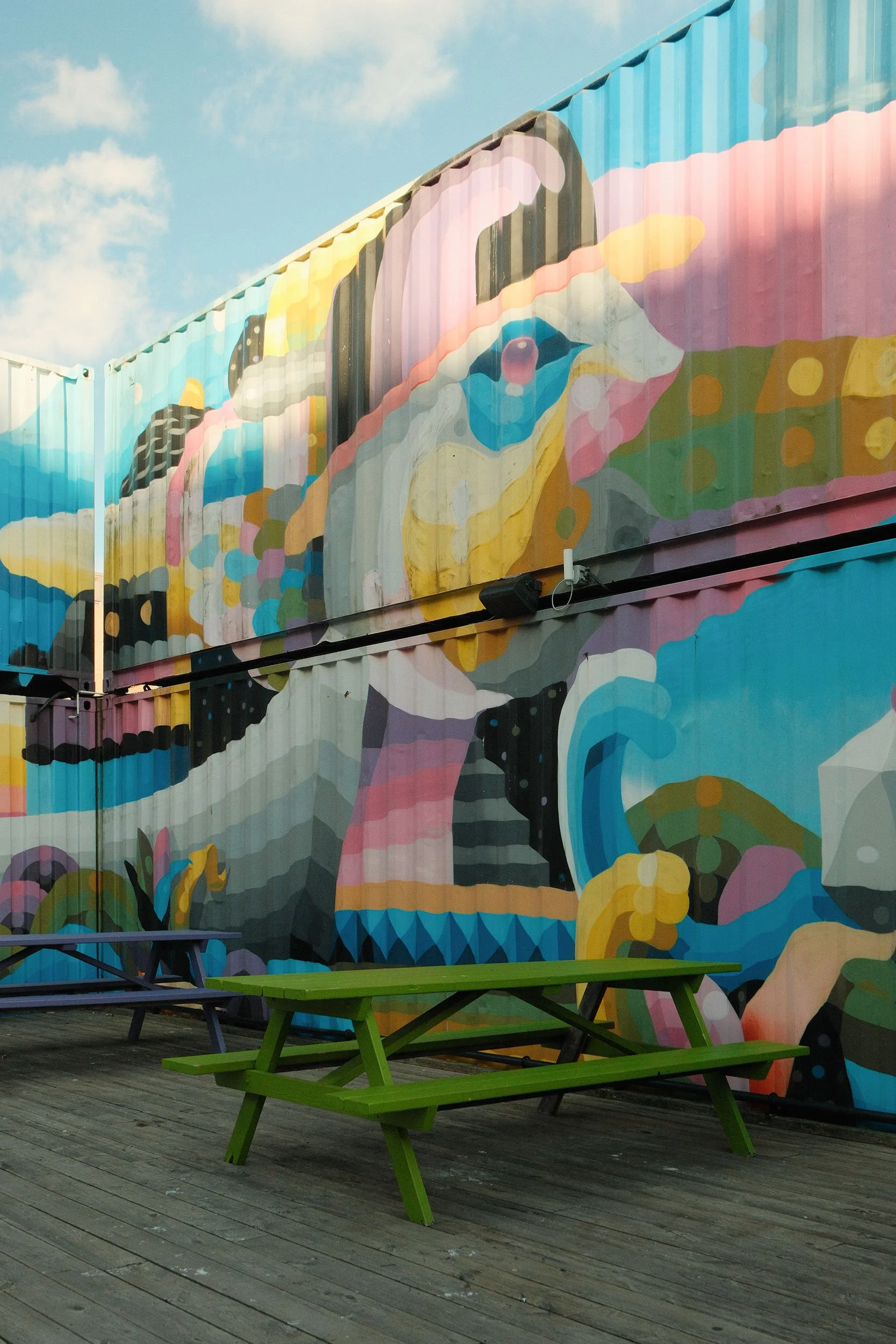 DSCF1884.jpg