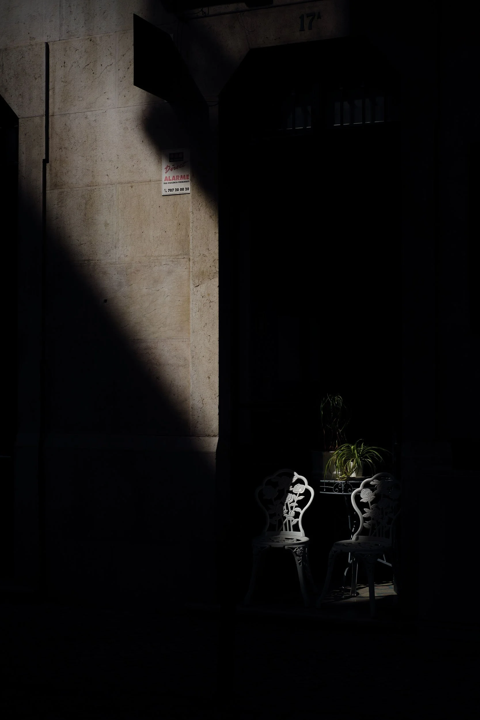 DSCF2176.jpg