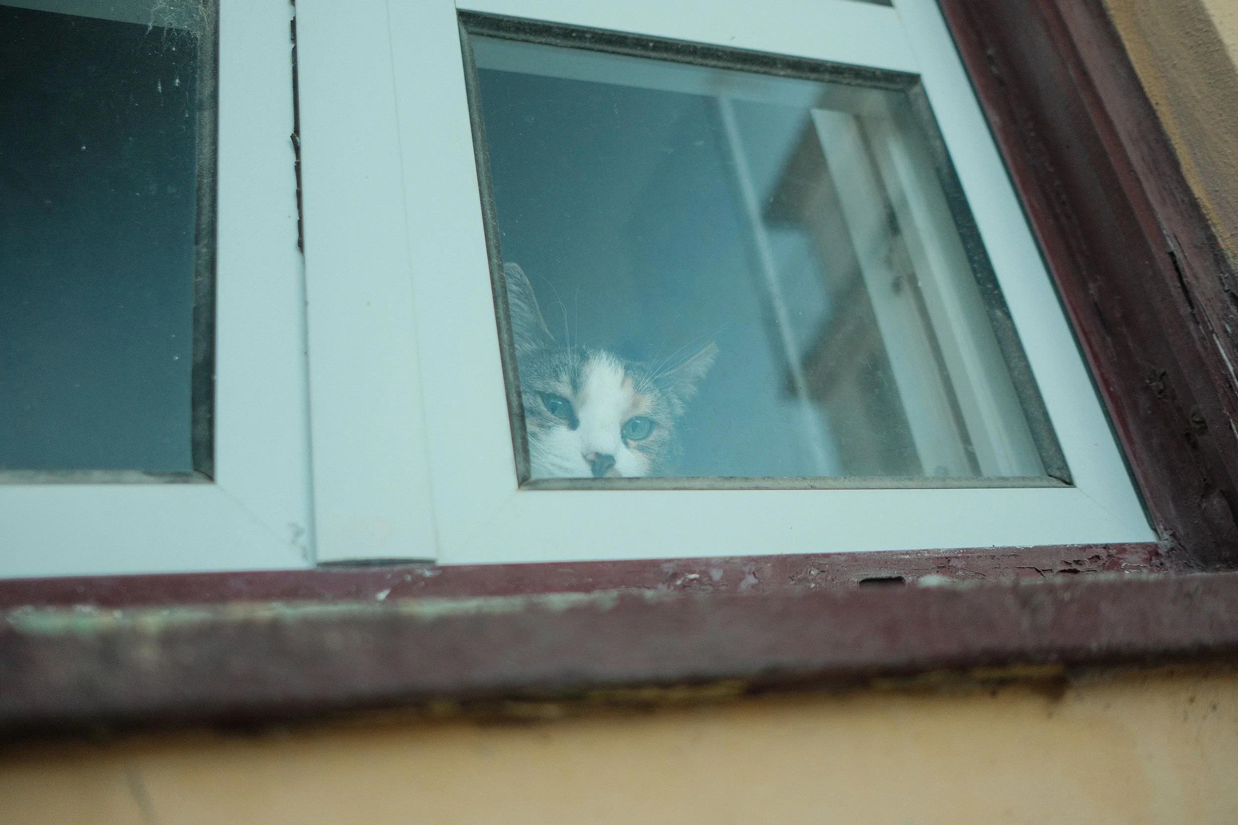 DSCF0436.jpg