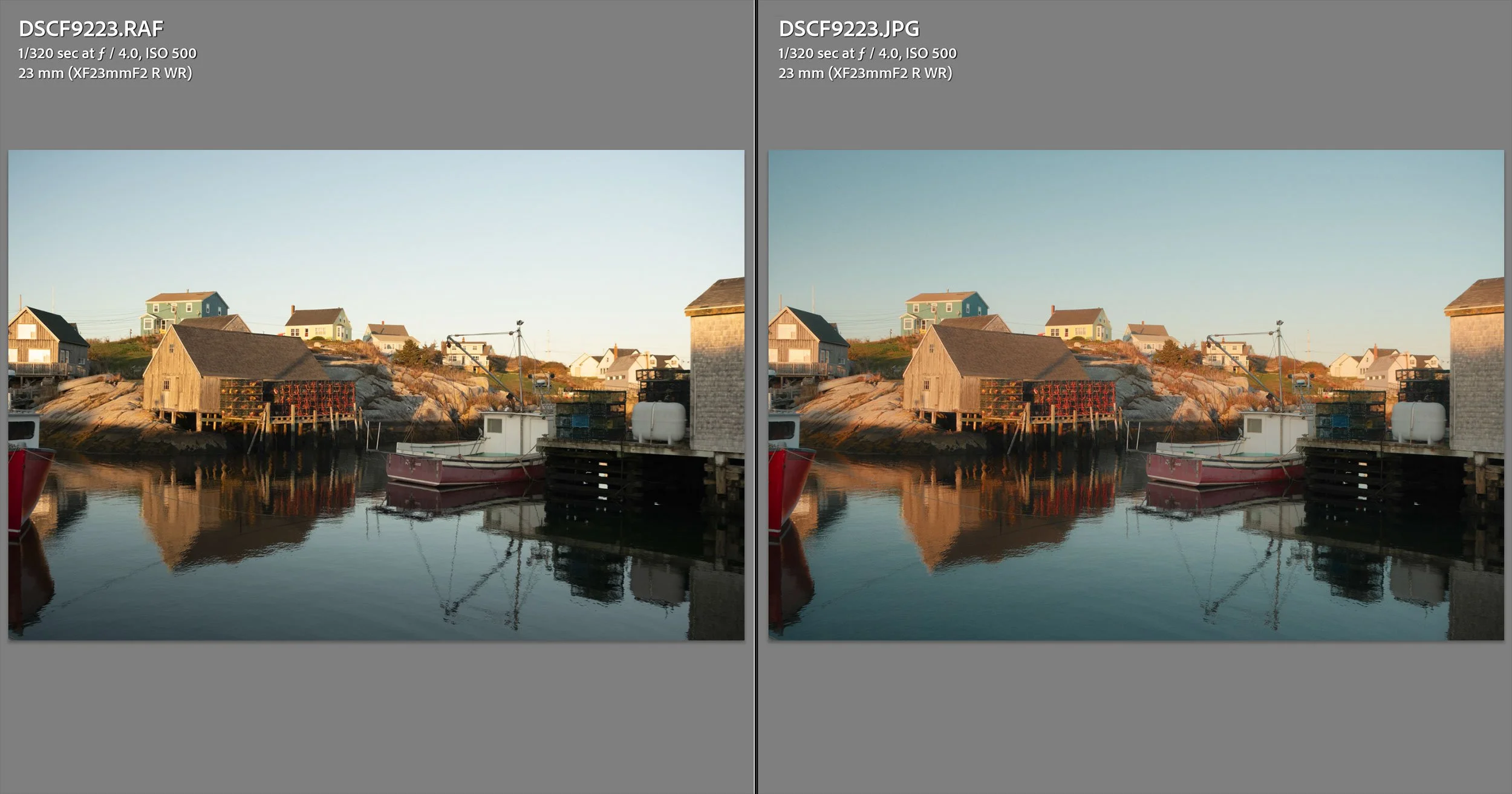 Lightroom in Reference View of RAW and JPEG.