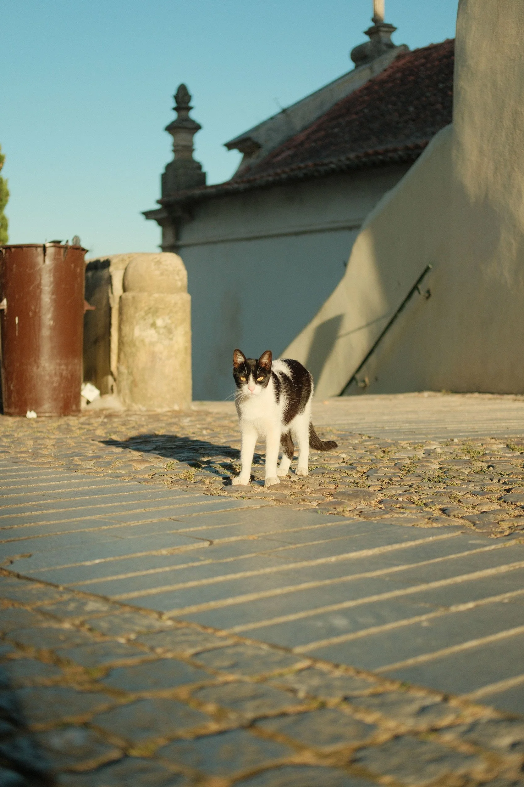 DSCF0414.jpg