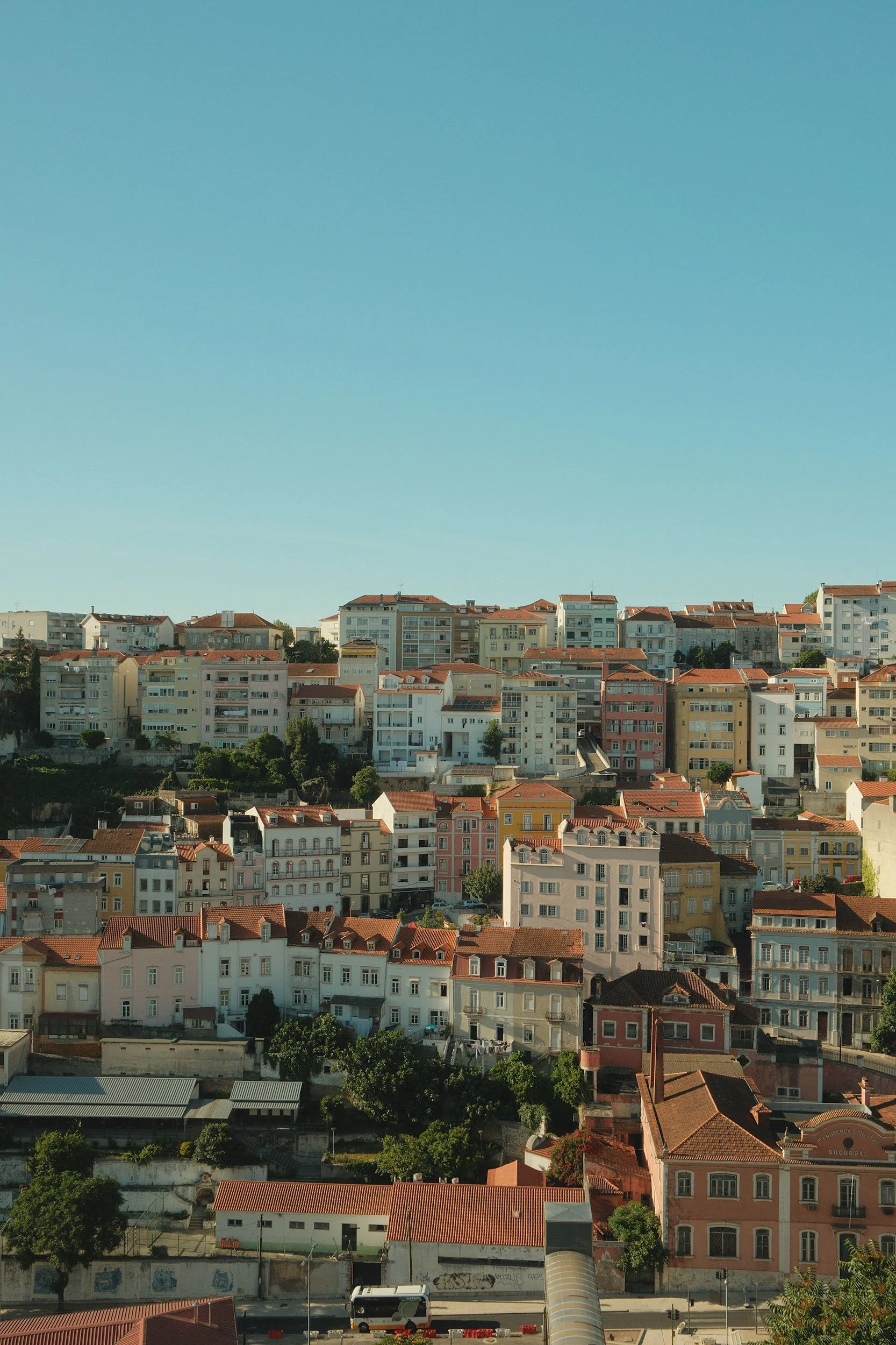 DSCF0376.jpg