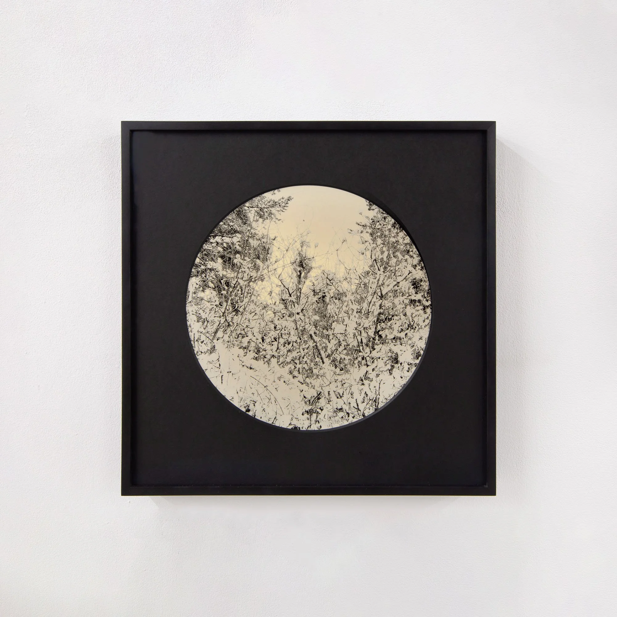 Store_Art_G_Coates_Cercle_Framed.jpg
