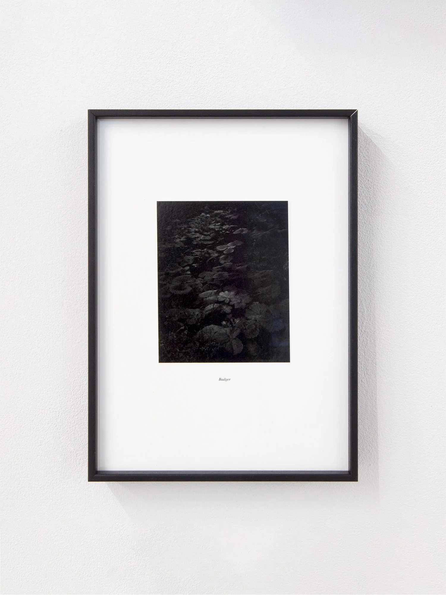 Store_Art_V_V_Gaalen_Badger_Framed.jpg