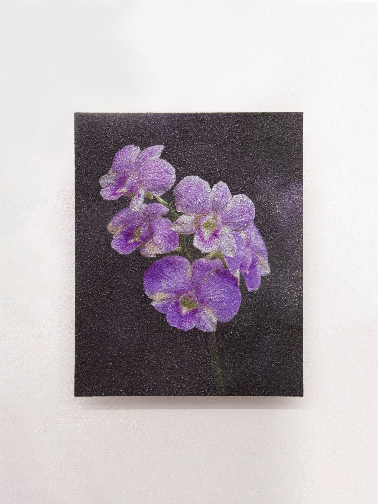 Store_Art_R_Himsworth_Phalae_Framed.jpg