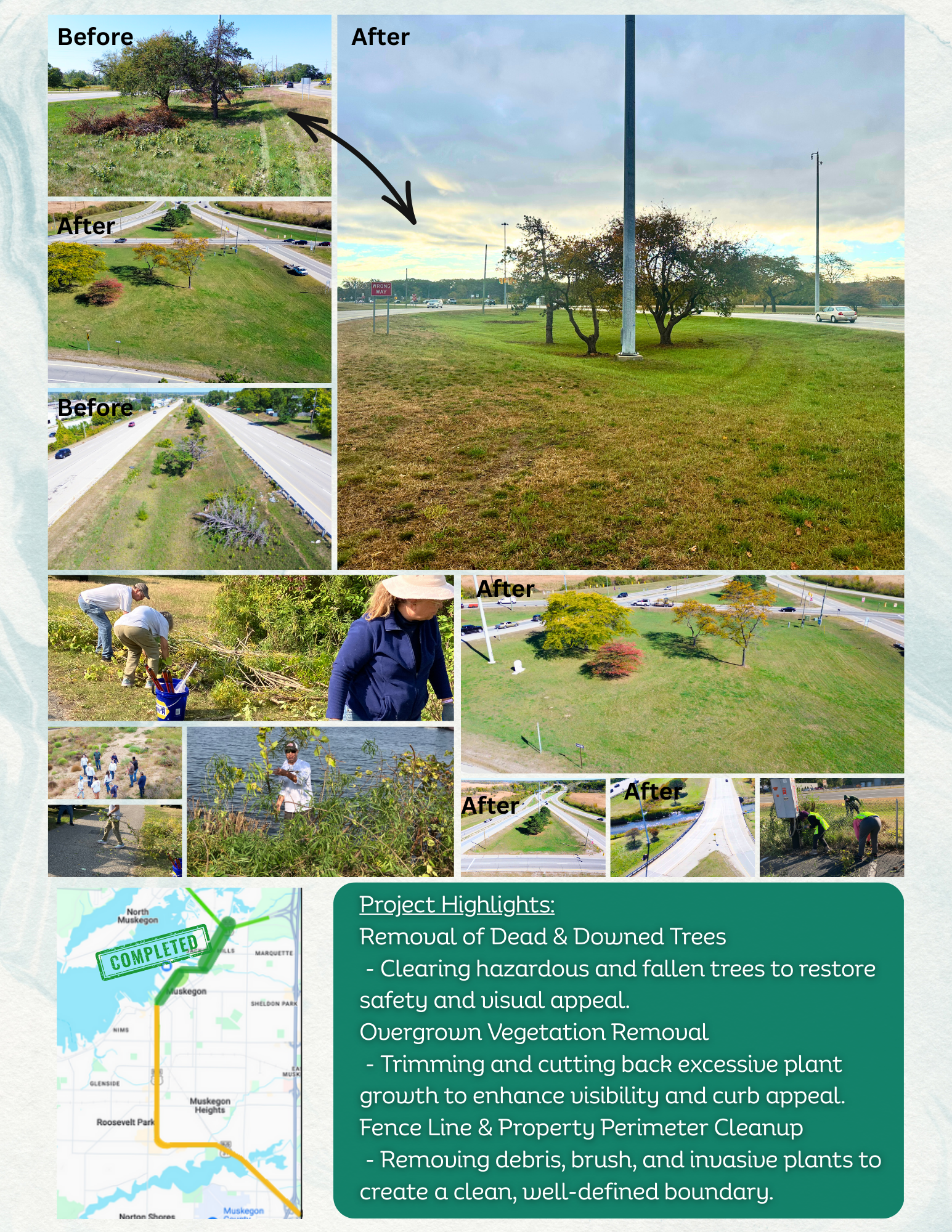 Before and after images showing the removal of dead and downed trees, overgrown vegetation, and hazardous plants from a roadside area. The project involved tree removal, trimming, cutting back overgrown growth, and cleanup to restore safety, aesthetics, and property boundaries.