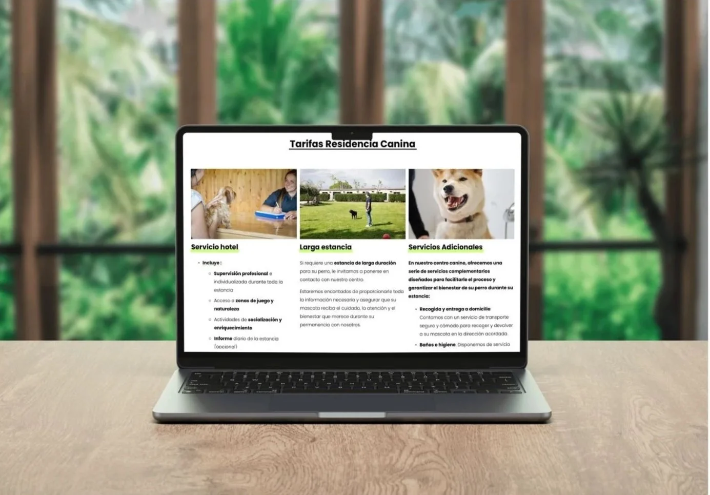 Para el Centro Canino GUFY me encargué del restyling de la marca, dirigí la sesión de fotos para reflejar mejor su día a día y diseñé la nueva web, buscando que todo se sintiera cercano, claro y fácil de entender. Un proyecto cuidado en cada detalle 
