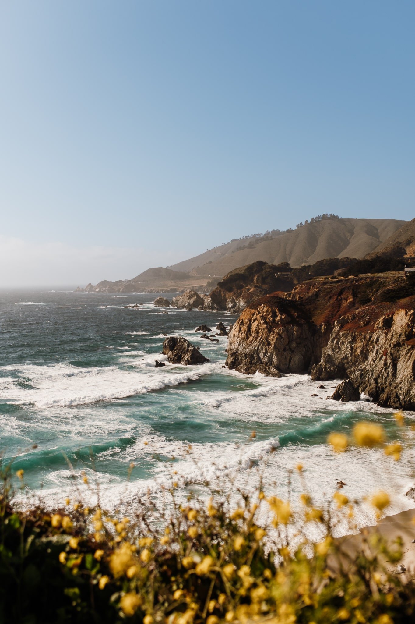 PCH california photography - gaby marie.jpg