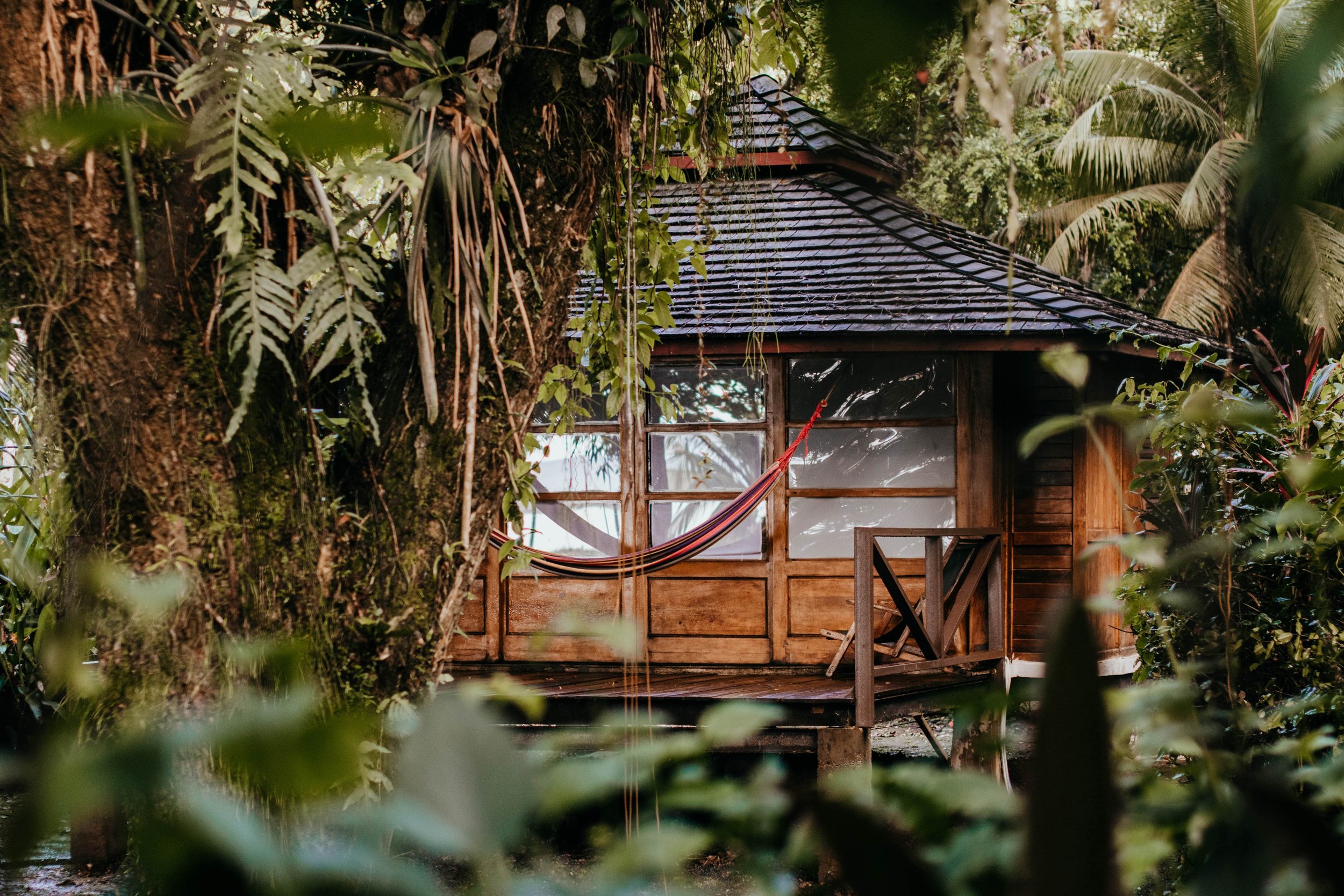 Caribbean Landscapes Trinidad Photographer Gaby Marie.jpg