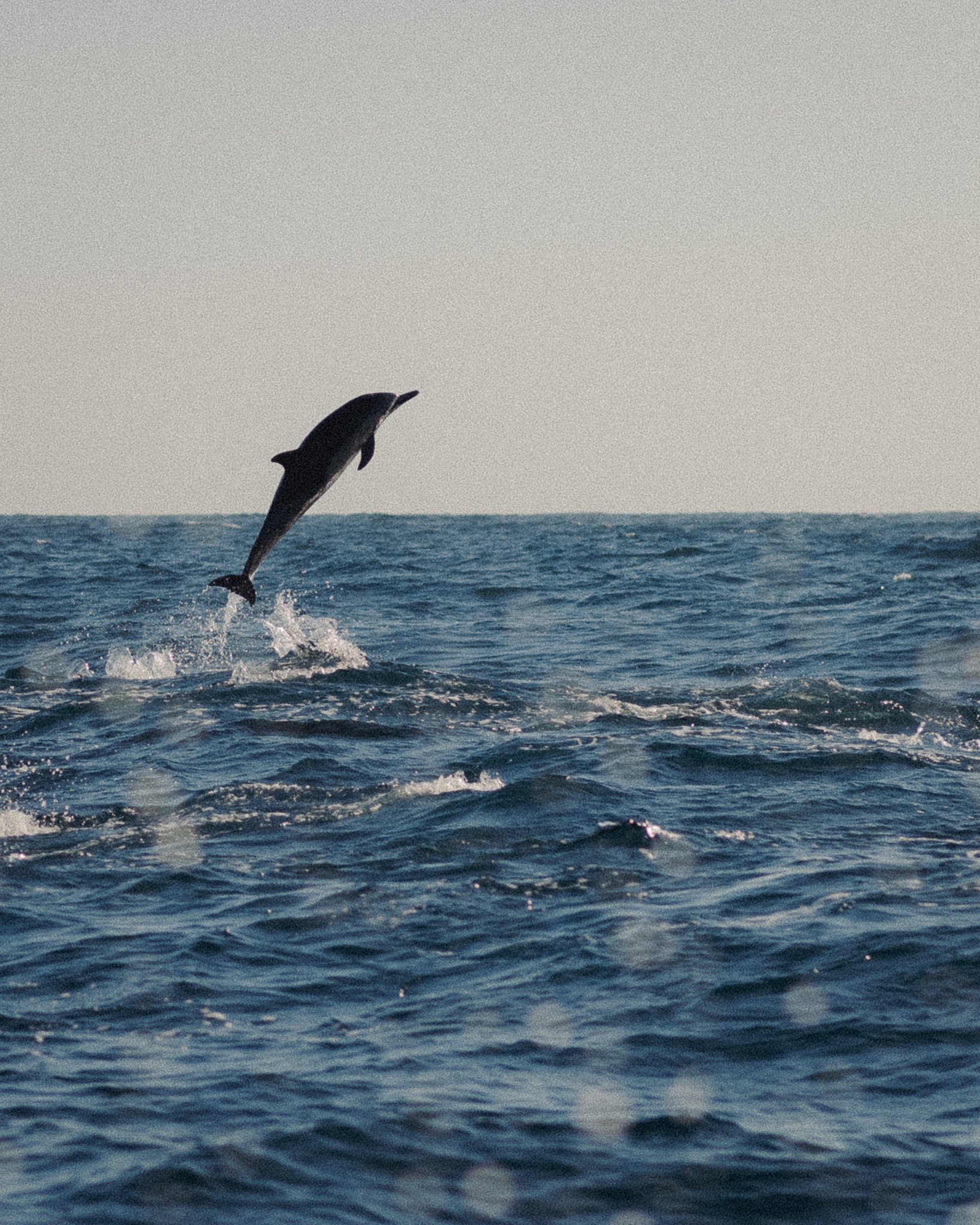 newport-socal-photography-GMP-18.jpg