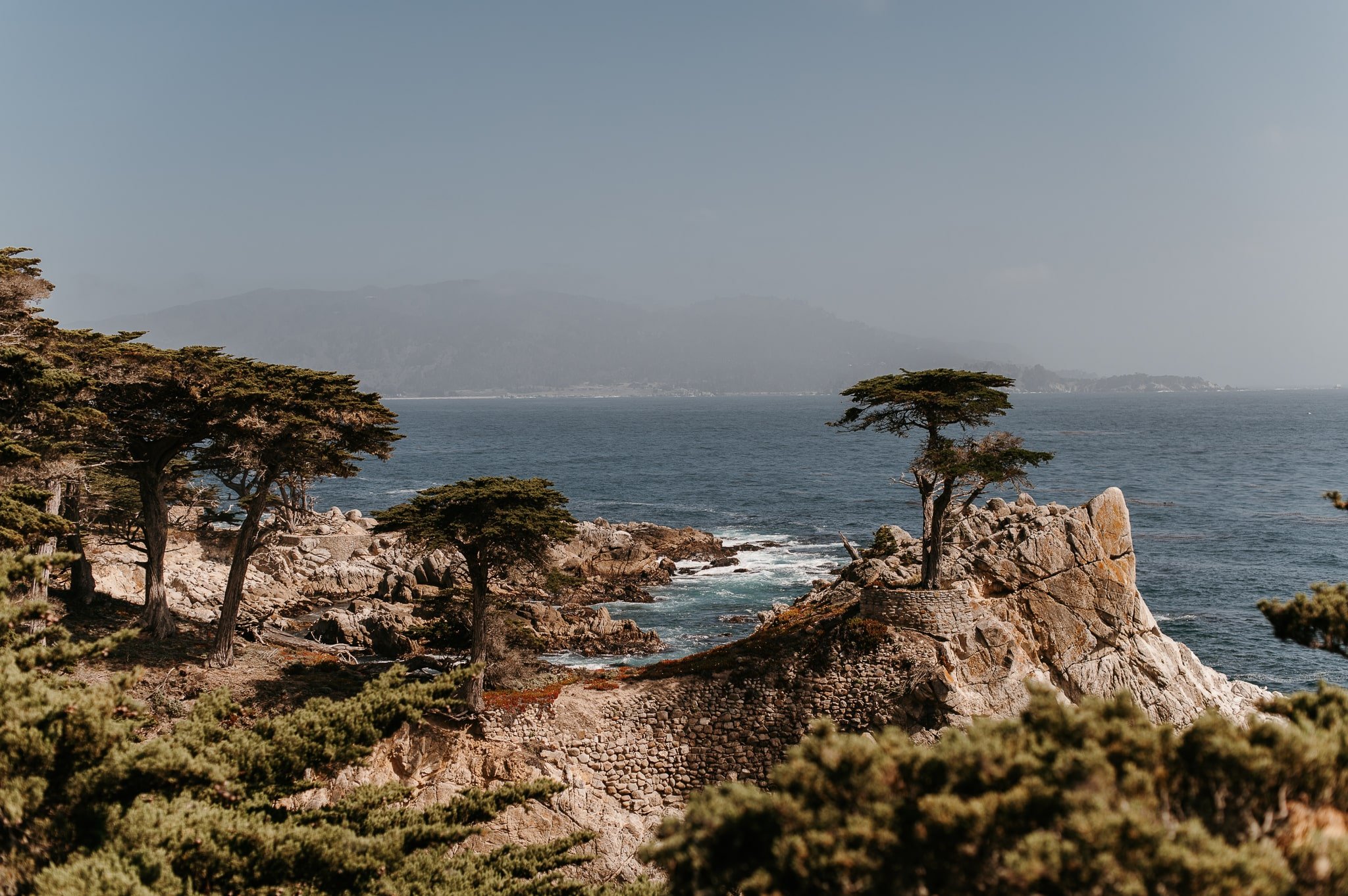 PCH california photography - gaby marie 5.jpg